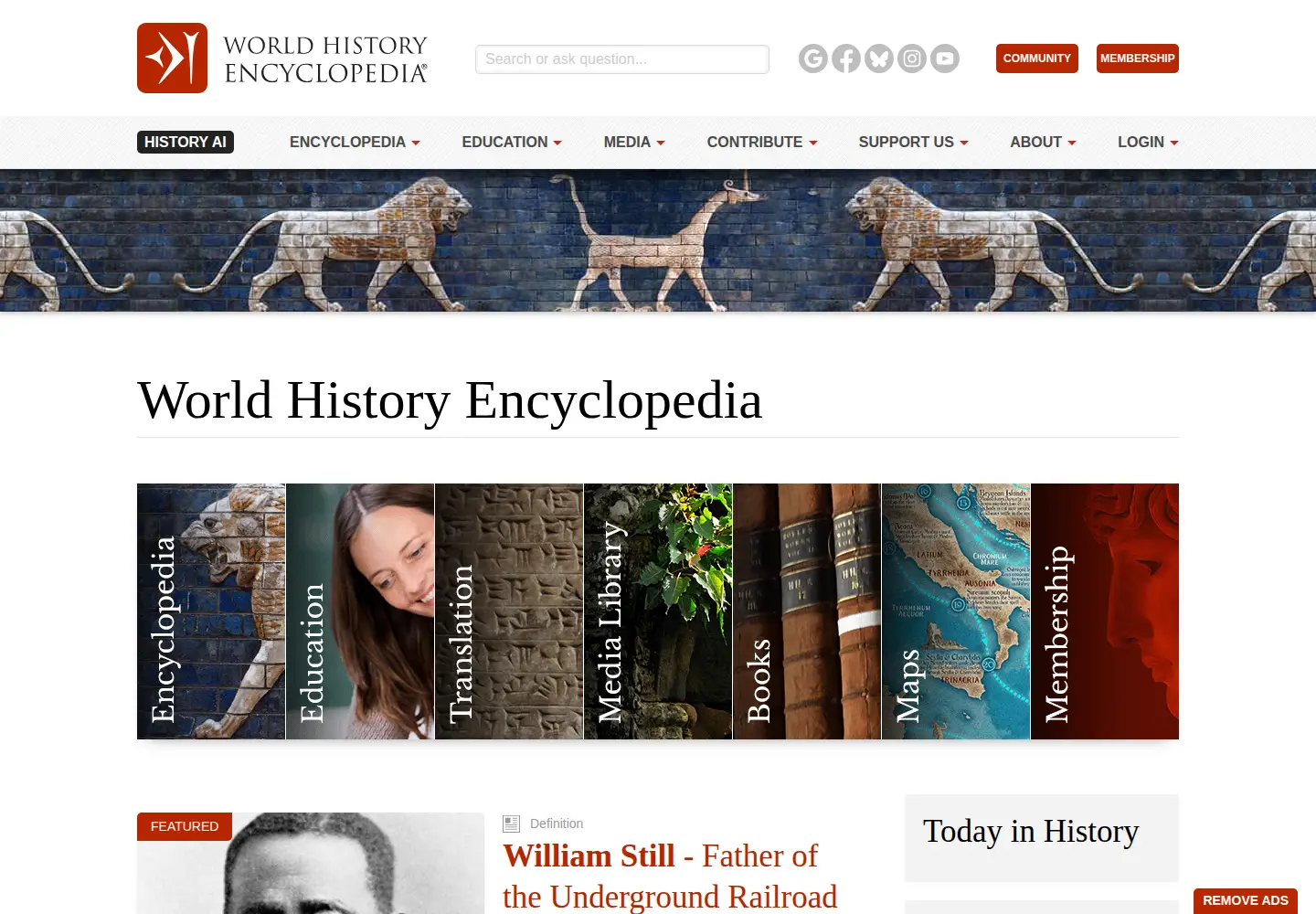 Screenshot of worldhistory.com