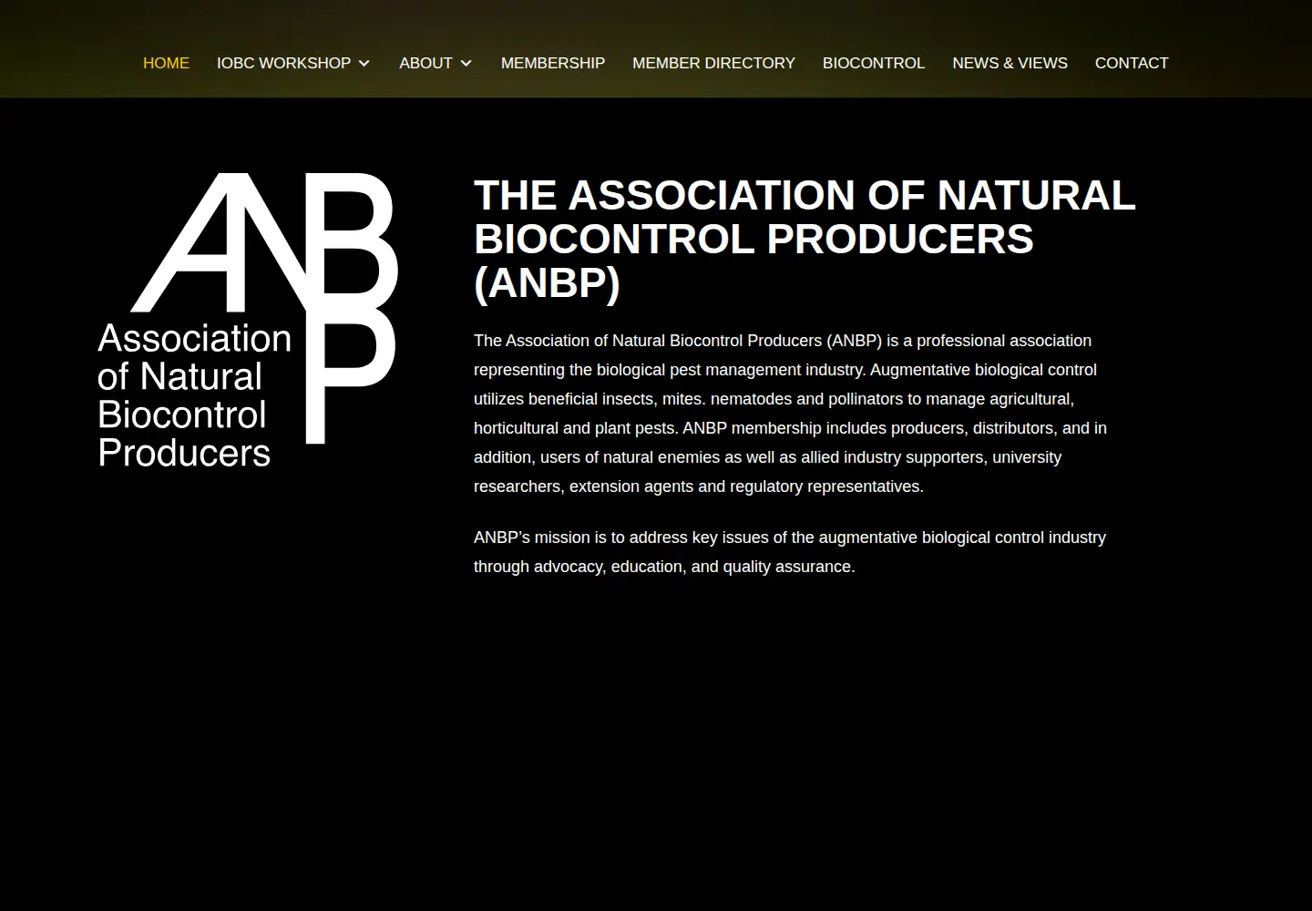 Captured homepage of anbp.org in the current scan