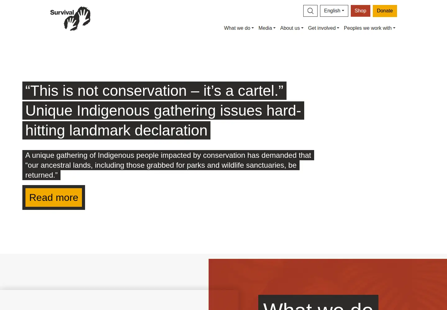 Captured homepage of survival-international.org in the current scan