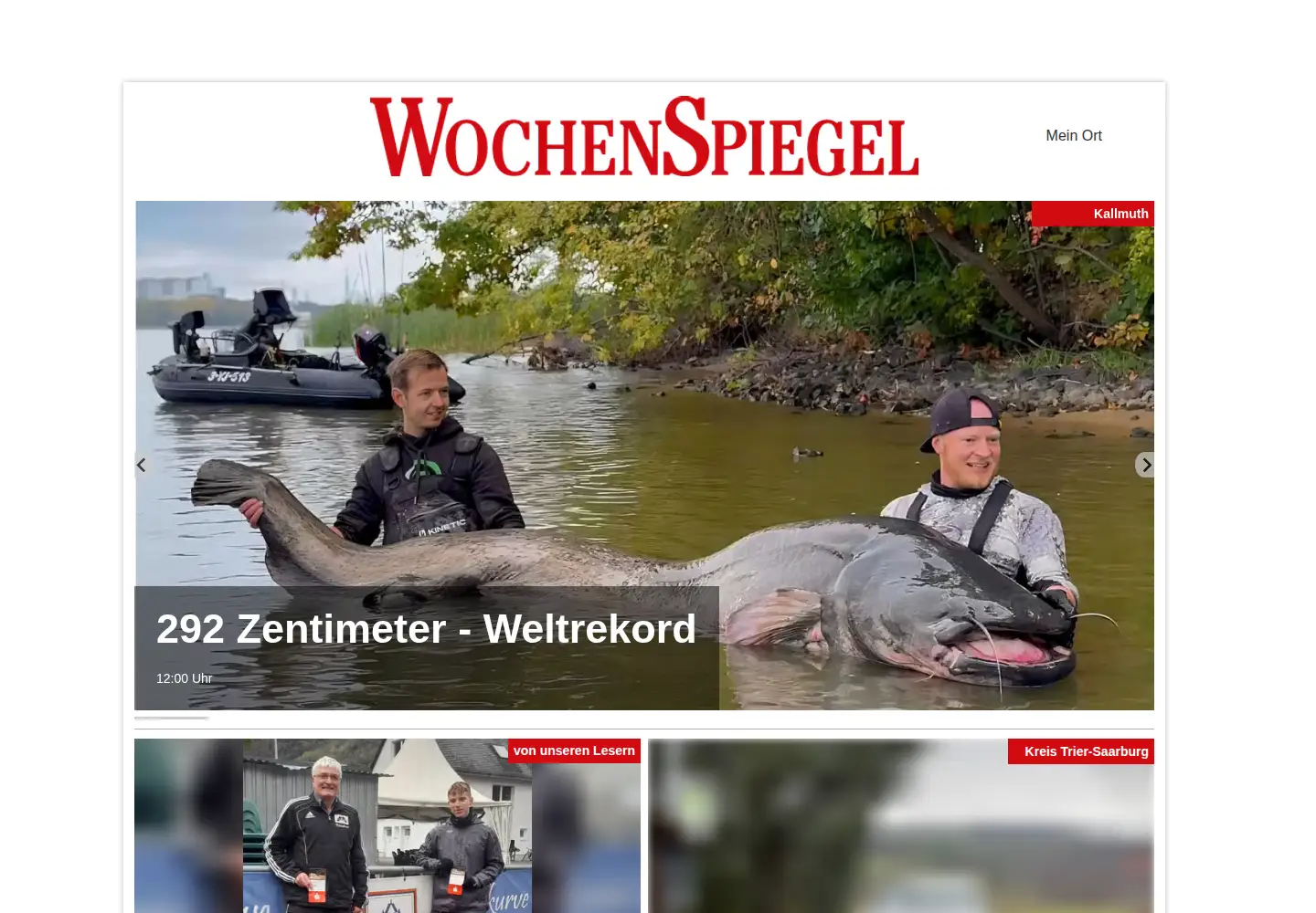 Captured homepage of wochenspiegellive.de in the current scan