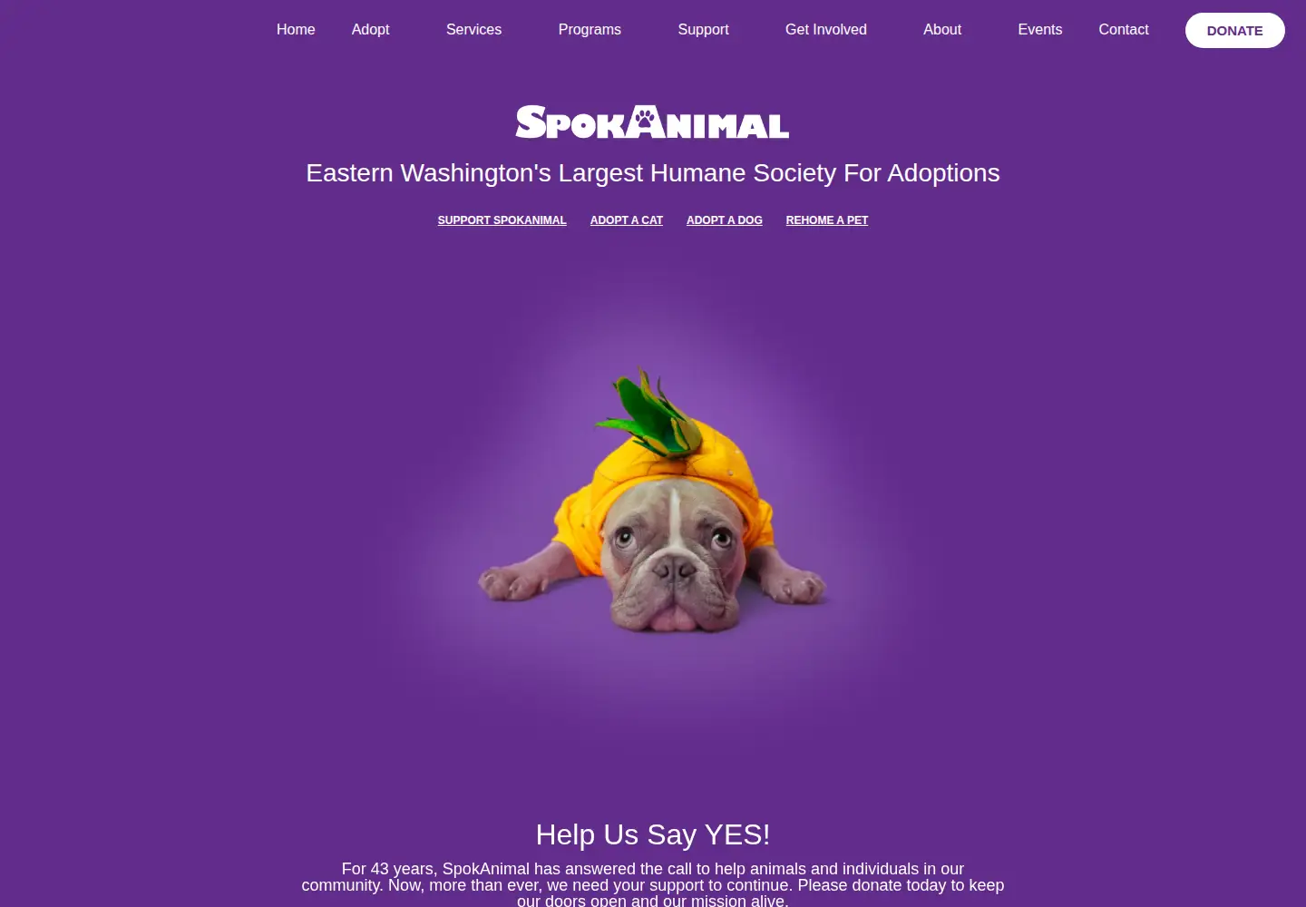 Captured homepage of spokanimal.org in the current scan