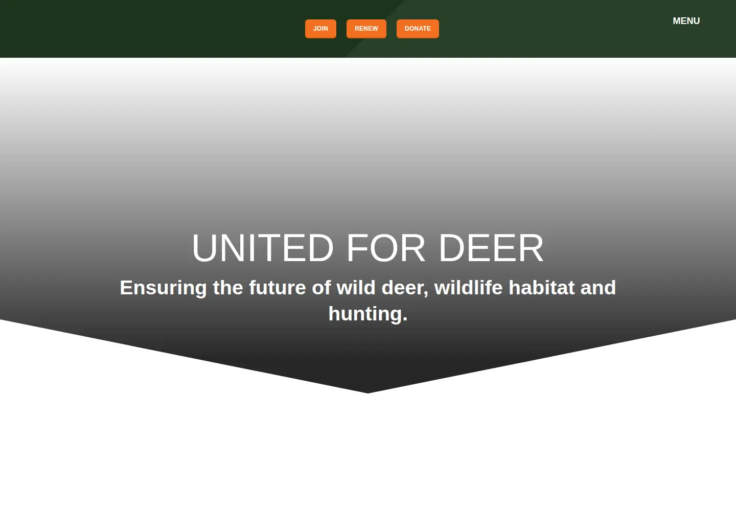 Captured homepage of qdma.com in the current scan