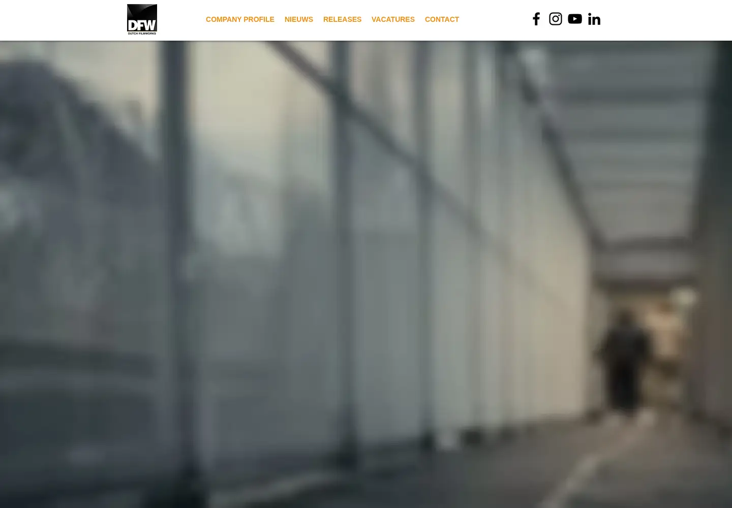 Captured homepage of dfw.nl in the current scan