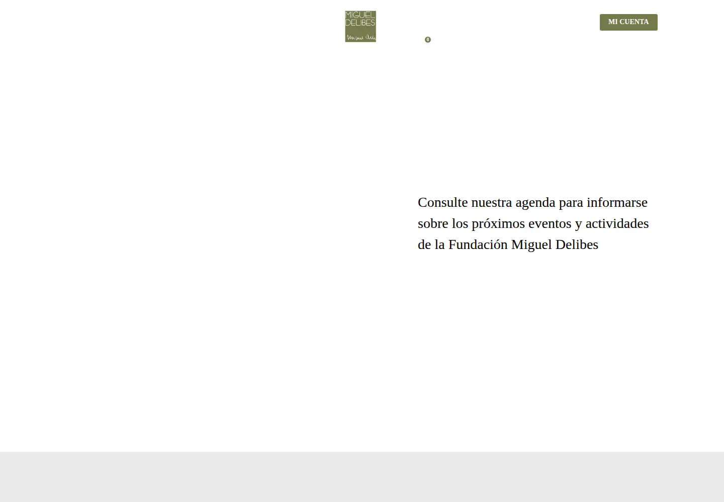 Captured homepage of fundacionmigueldelibes.es in the current scan