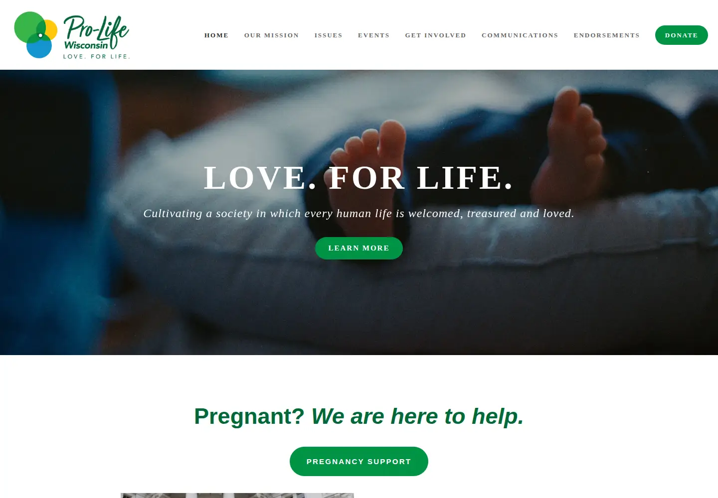 Screenshot of prolifewisconsin.org
