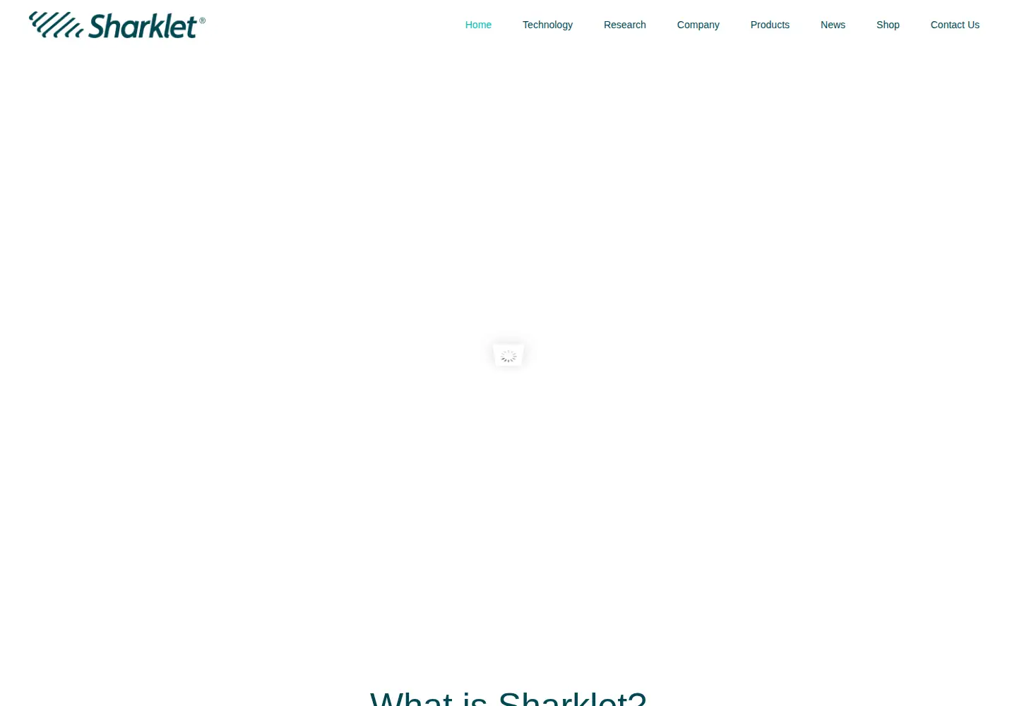 Captured homepage of sharklet.com in the current scan