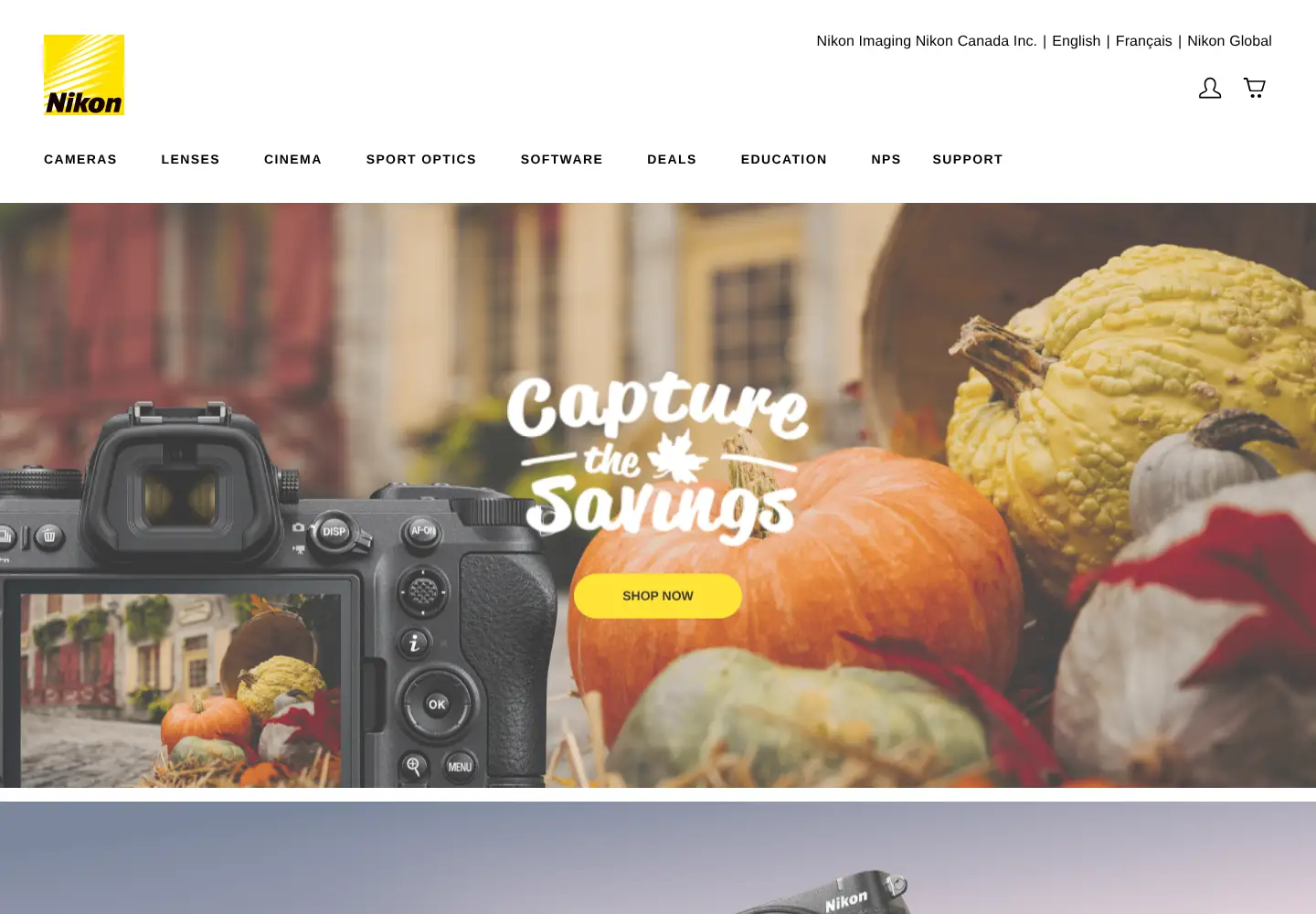 Captured homepage of nikon.ca in the current scan