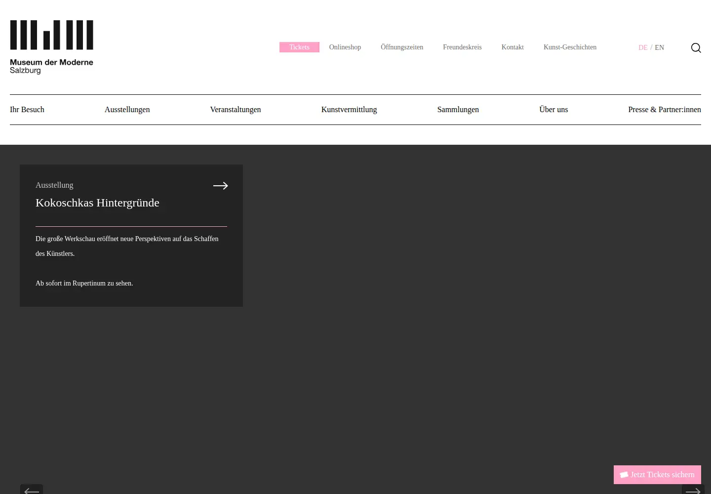 Screenshot of museumdermoderne.at