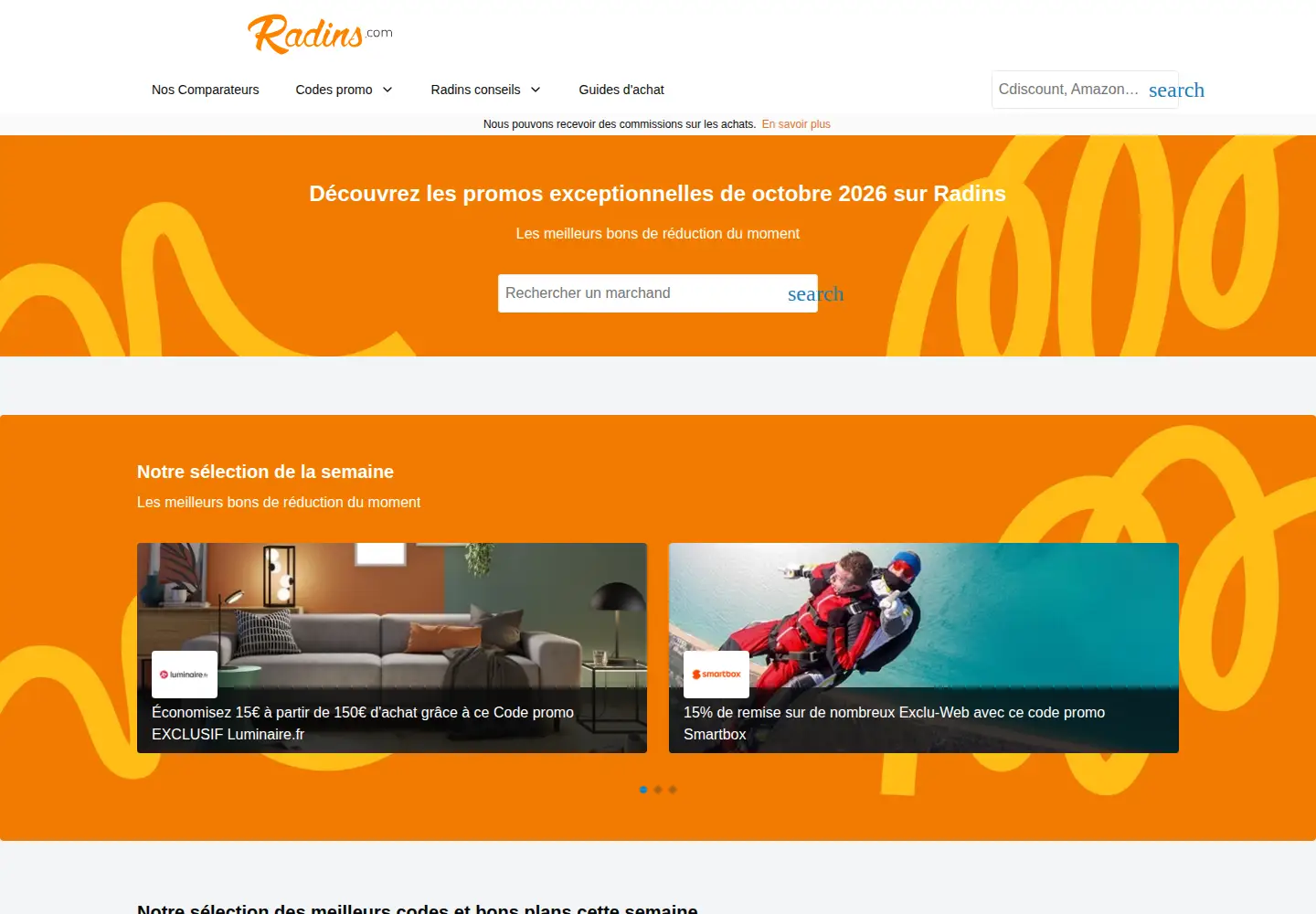 Screenshot of radins.com