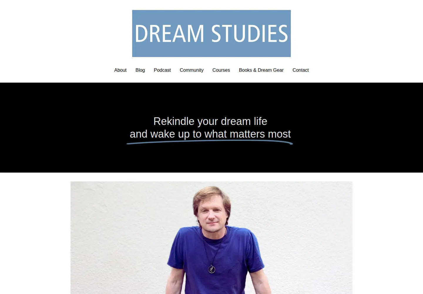 Captured homepage of dreamstudies.org in the current scan