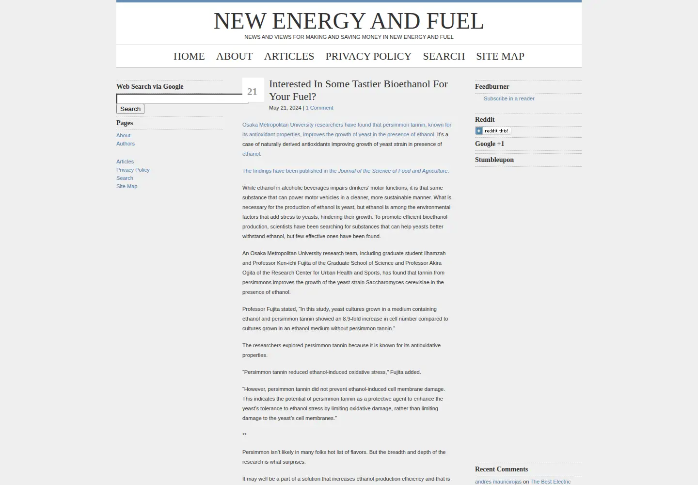 Screenshot of newenergyandfuel.com