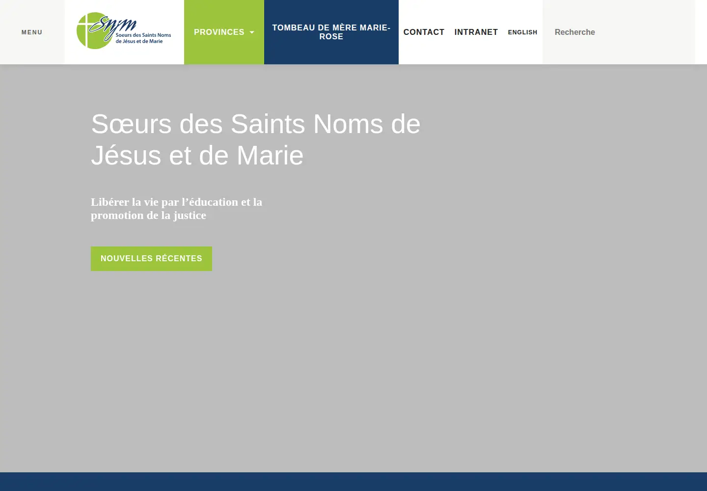 Screenshot of snjm.org