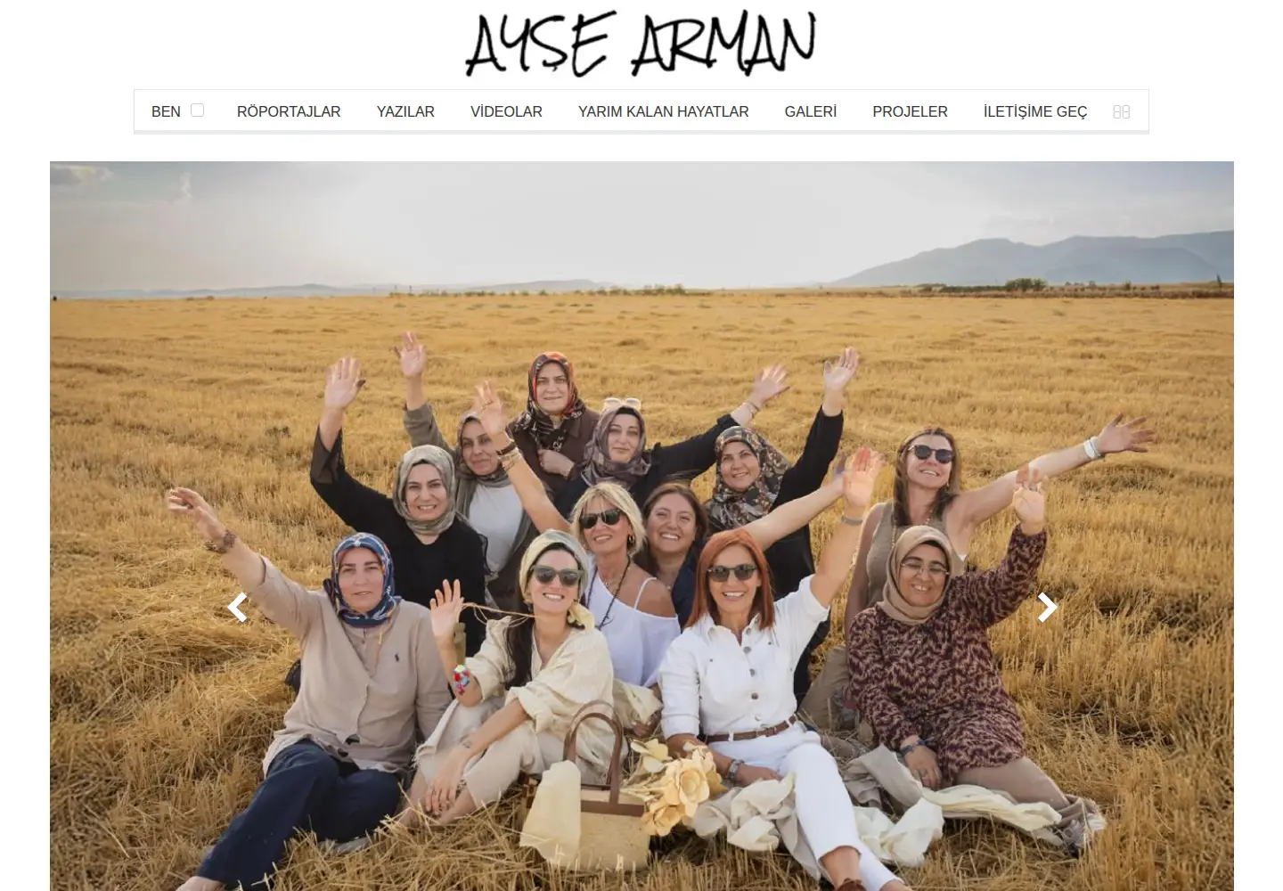Screenshot of armanayse.com