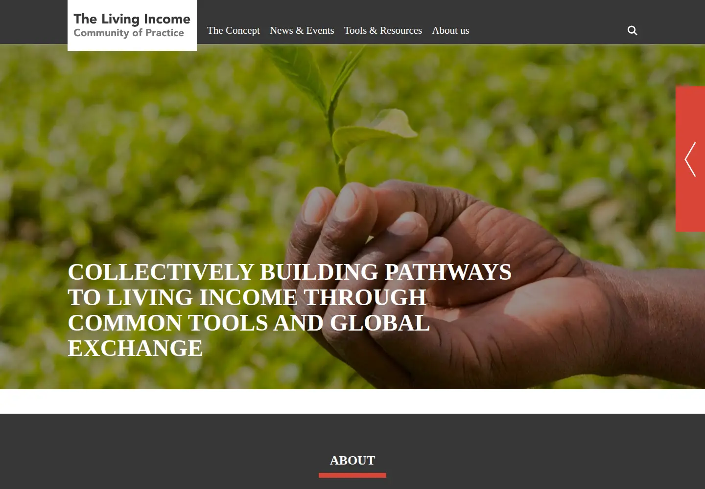Screenshot of living-income.com