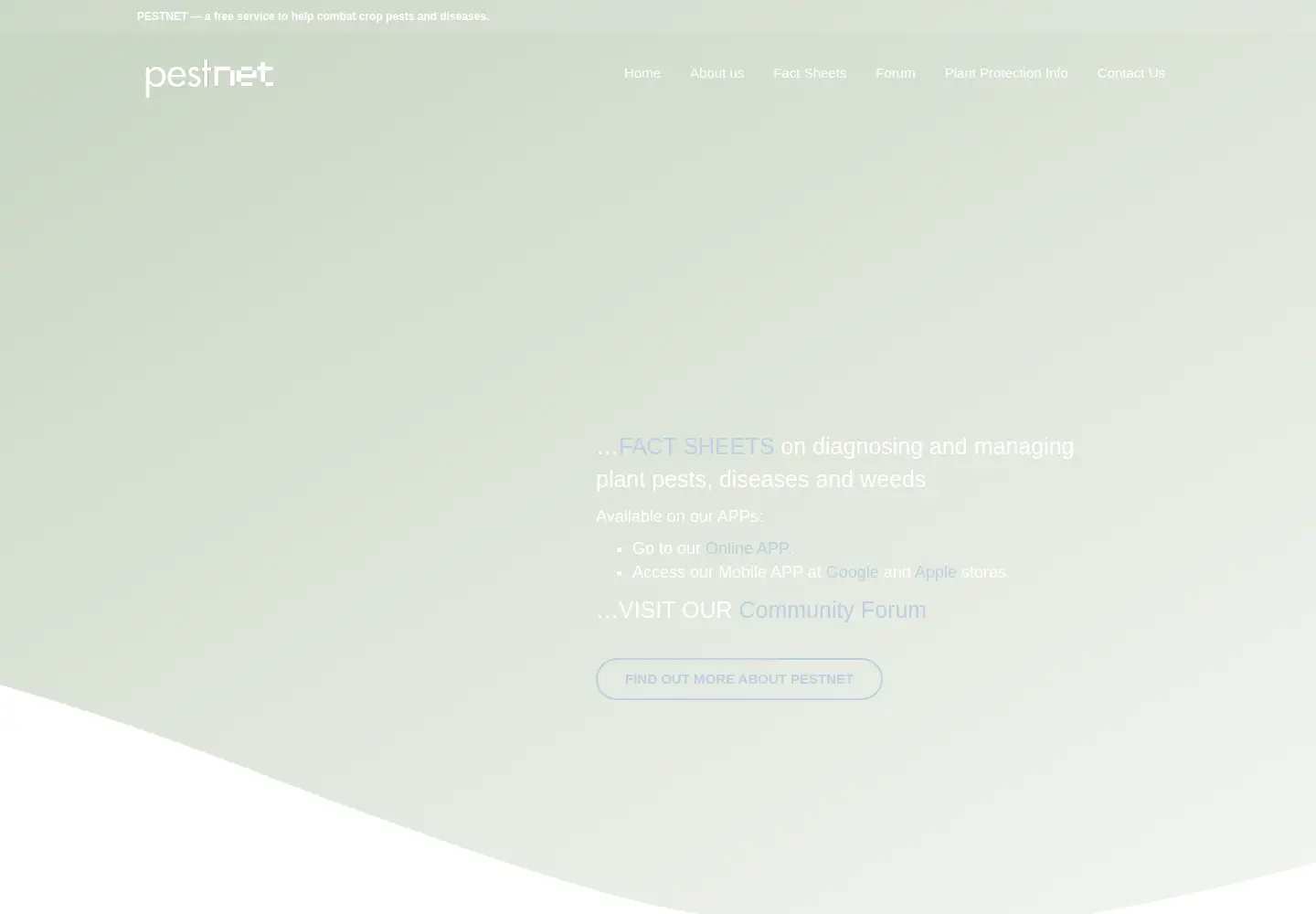 Captured homepage of pestnet.org in the current scan