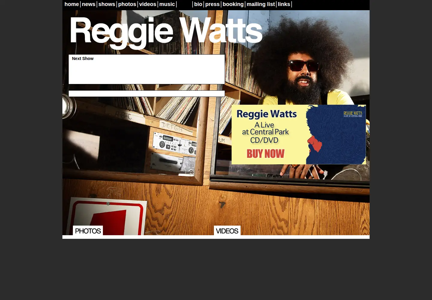 Captured homepage of reggiewatts.com in the current scan