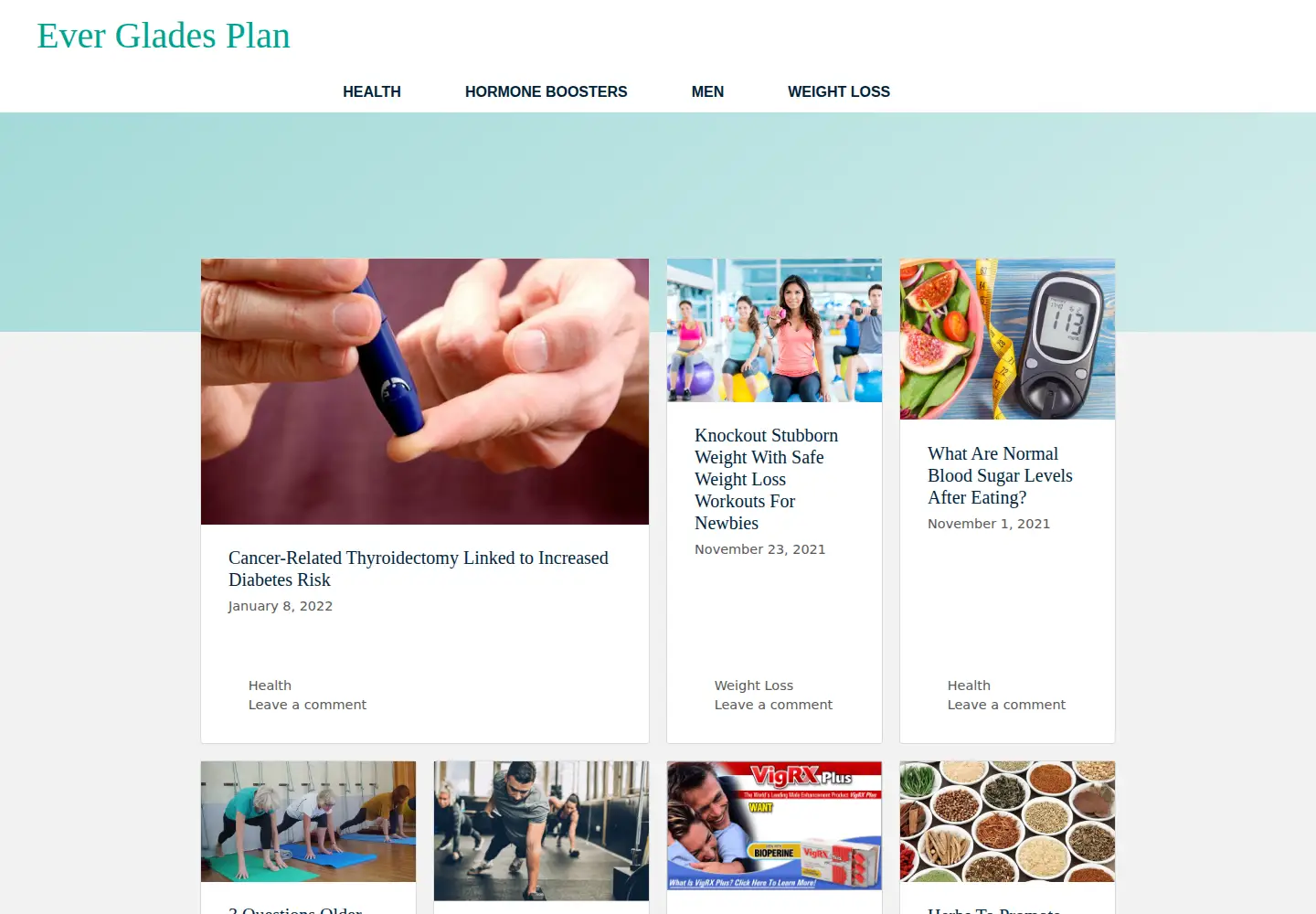 Screenshot of evergladesplan.org