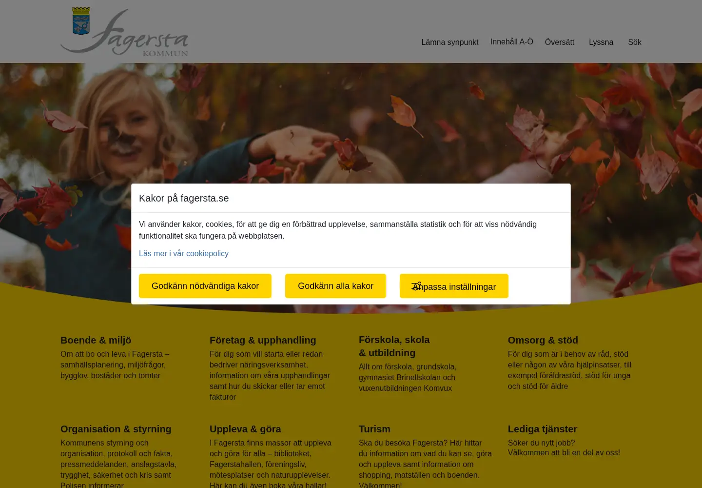 Captured homepage of fagersta.se in the current scan