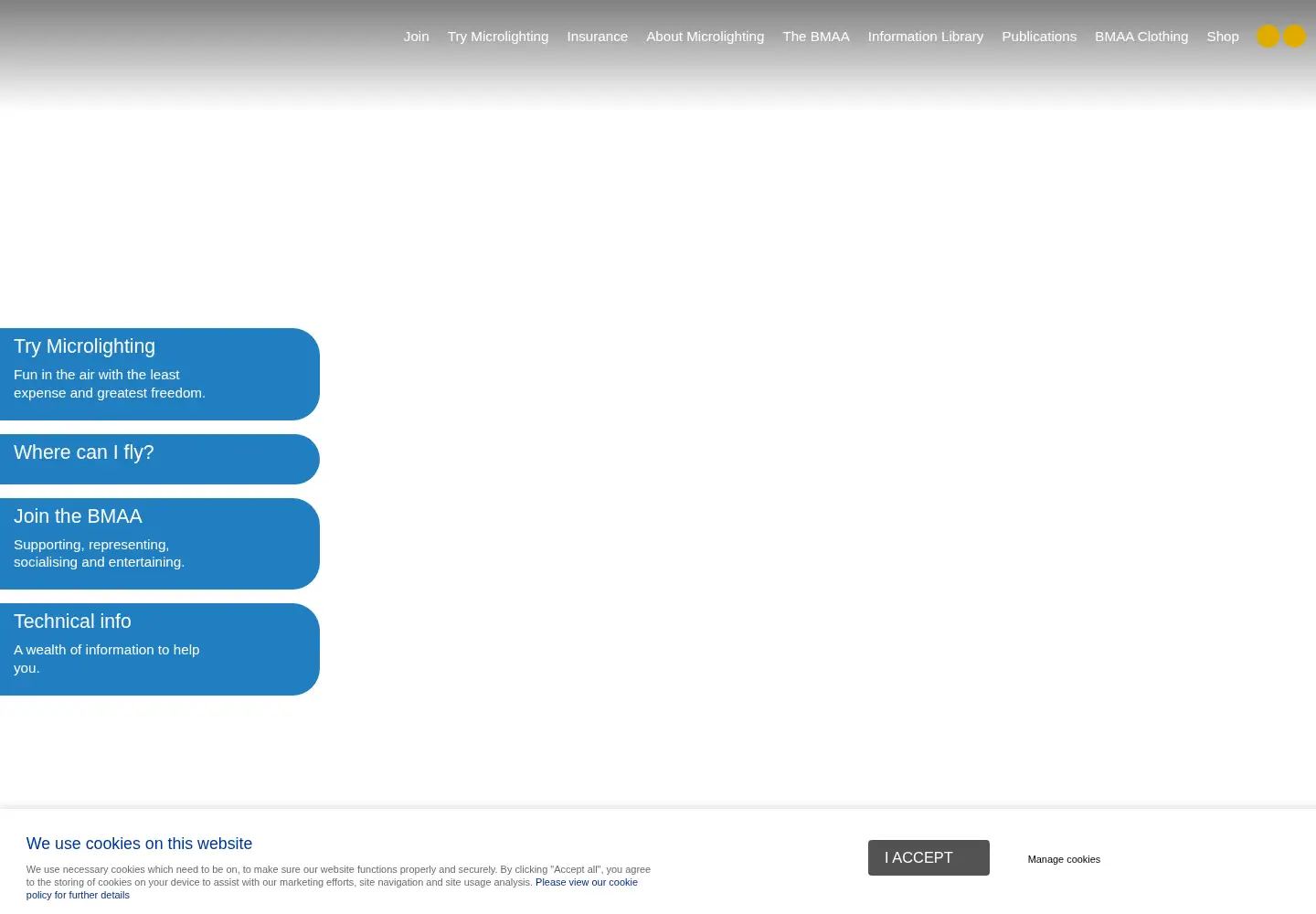 Captured homepage of bmaa.org in the current scan