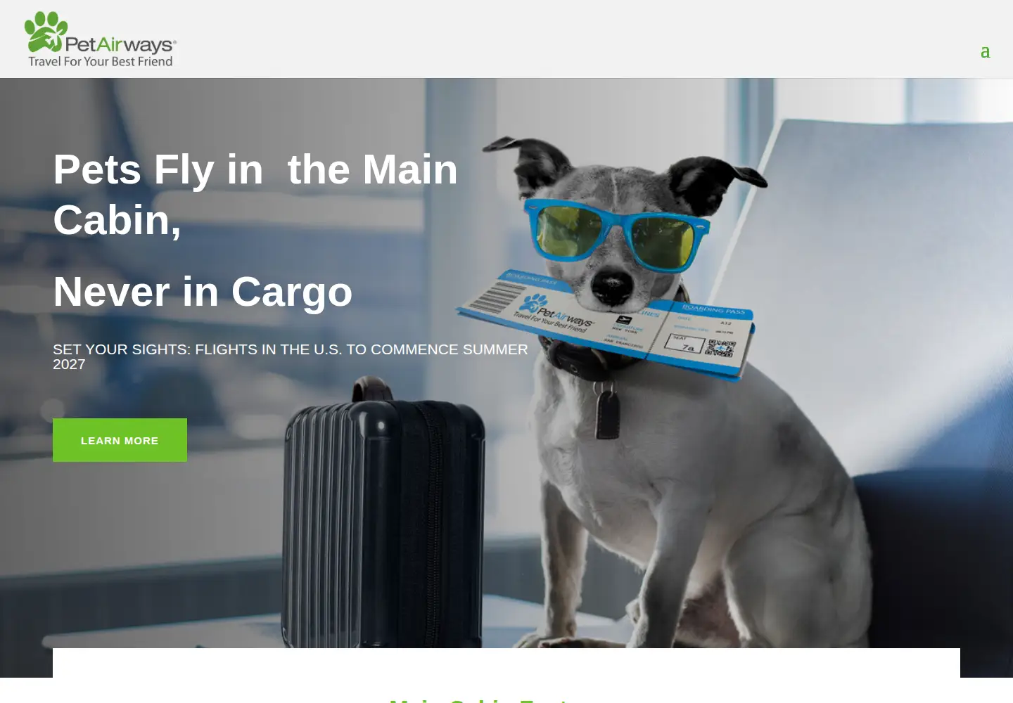 Screenshot of petairways.com