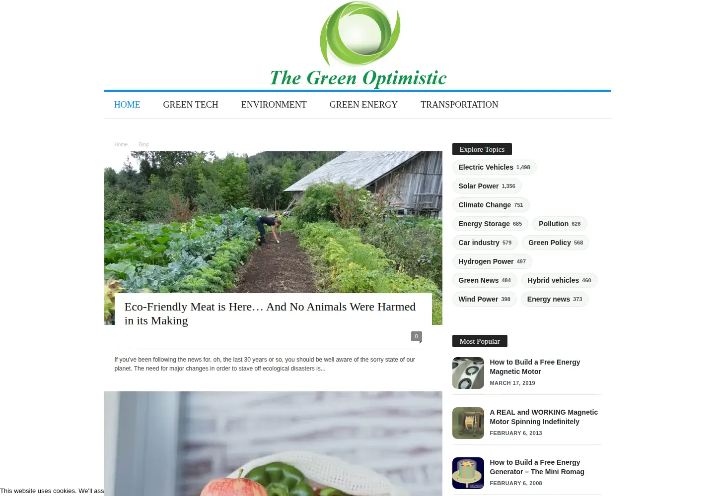 Screenshot of greenoptimistic.com