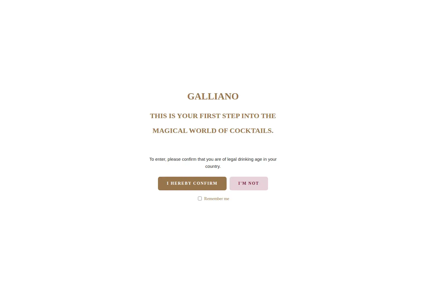 Screenshot of galliano.com