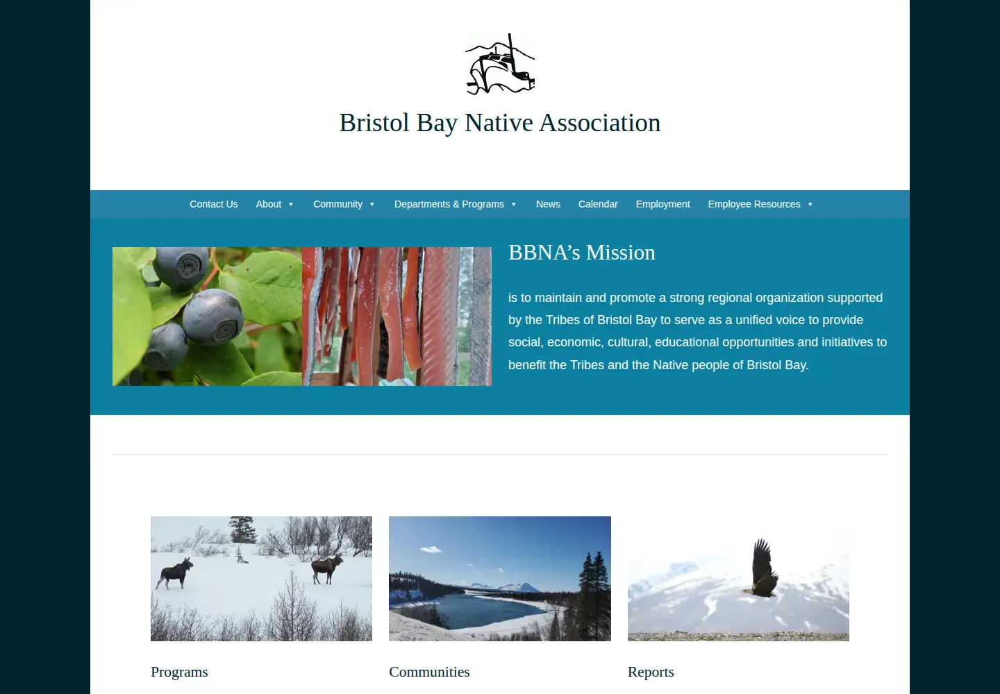 Captured homepage of bbna.com in the current scan