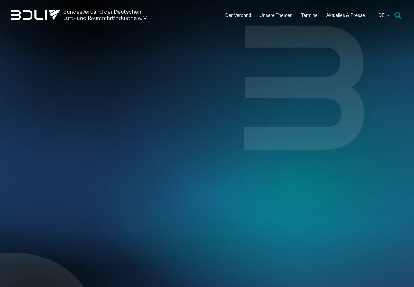 Captured homepage of bdli.de in the current scan