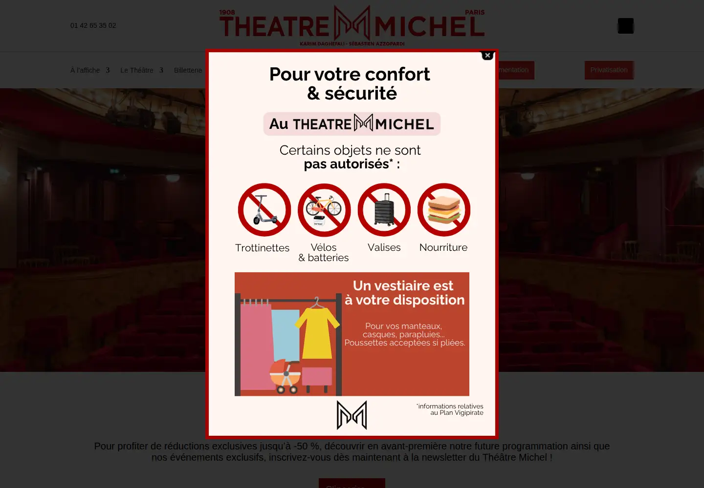 Screenshot of theatre-michel.fr