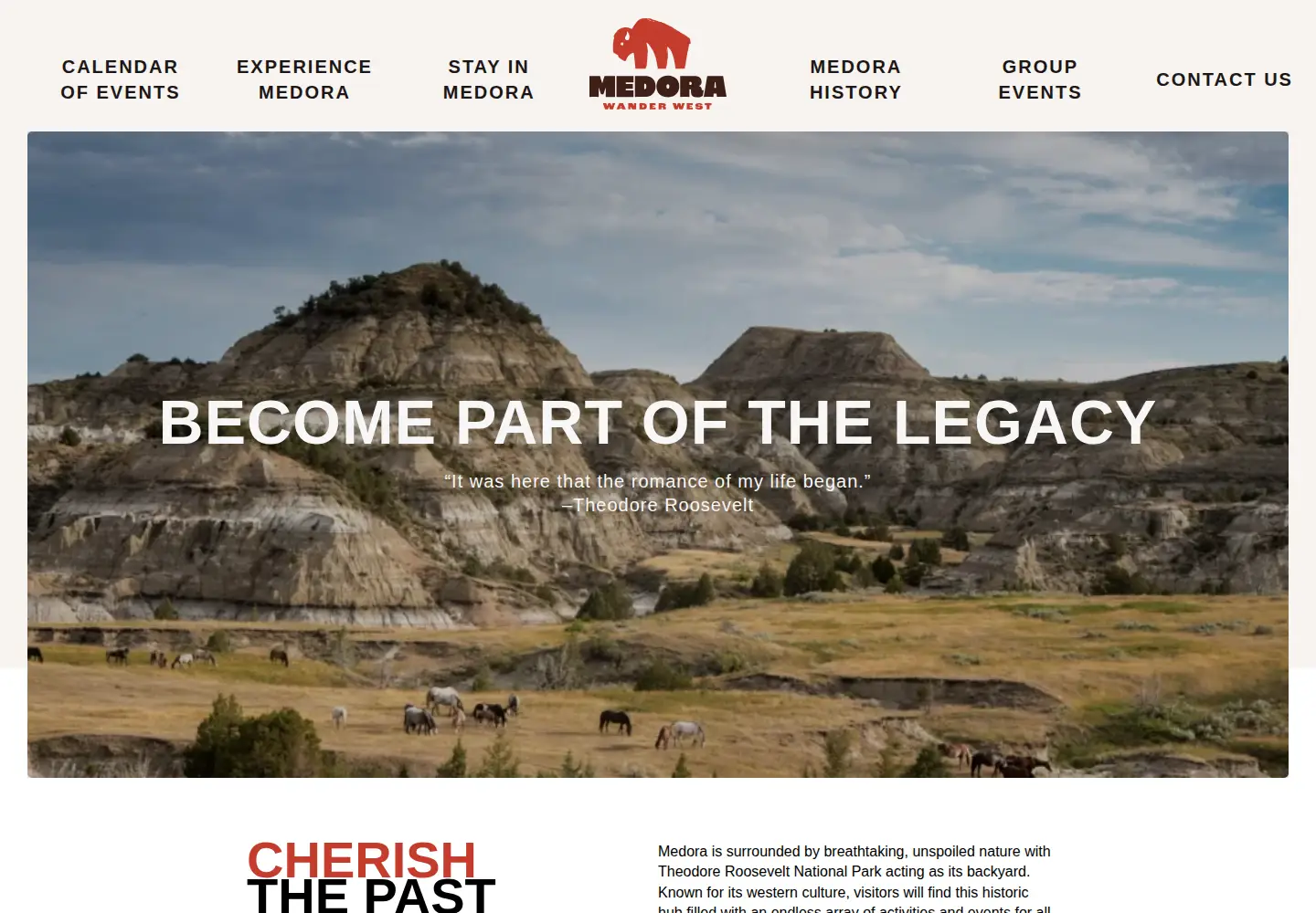 Screenshot of medorand.com