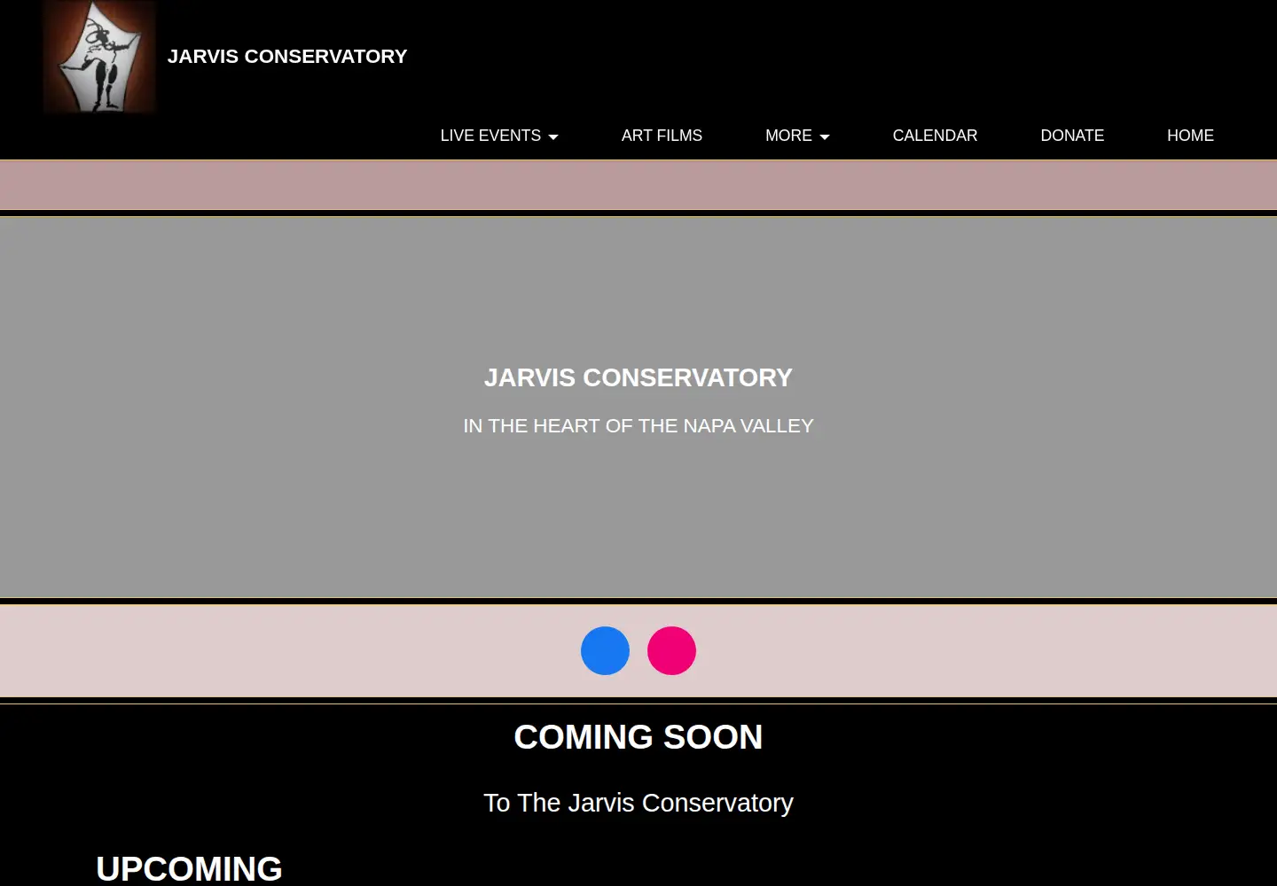 Captured homepage of jarvisconservatory.com in the current scan