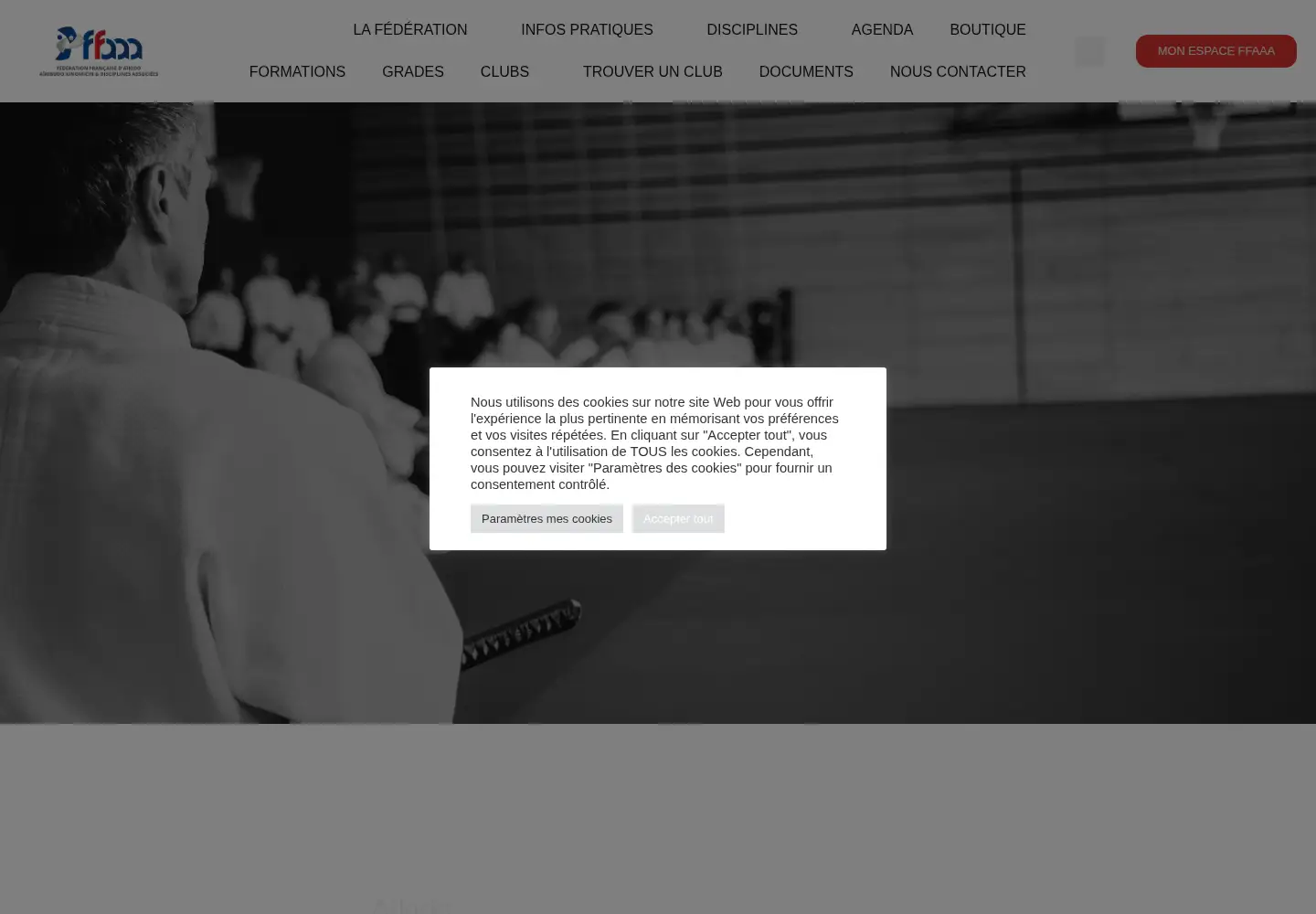 Screenshot of aikido.com.fr
