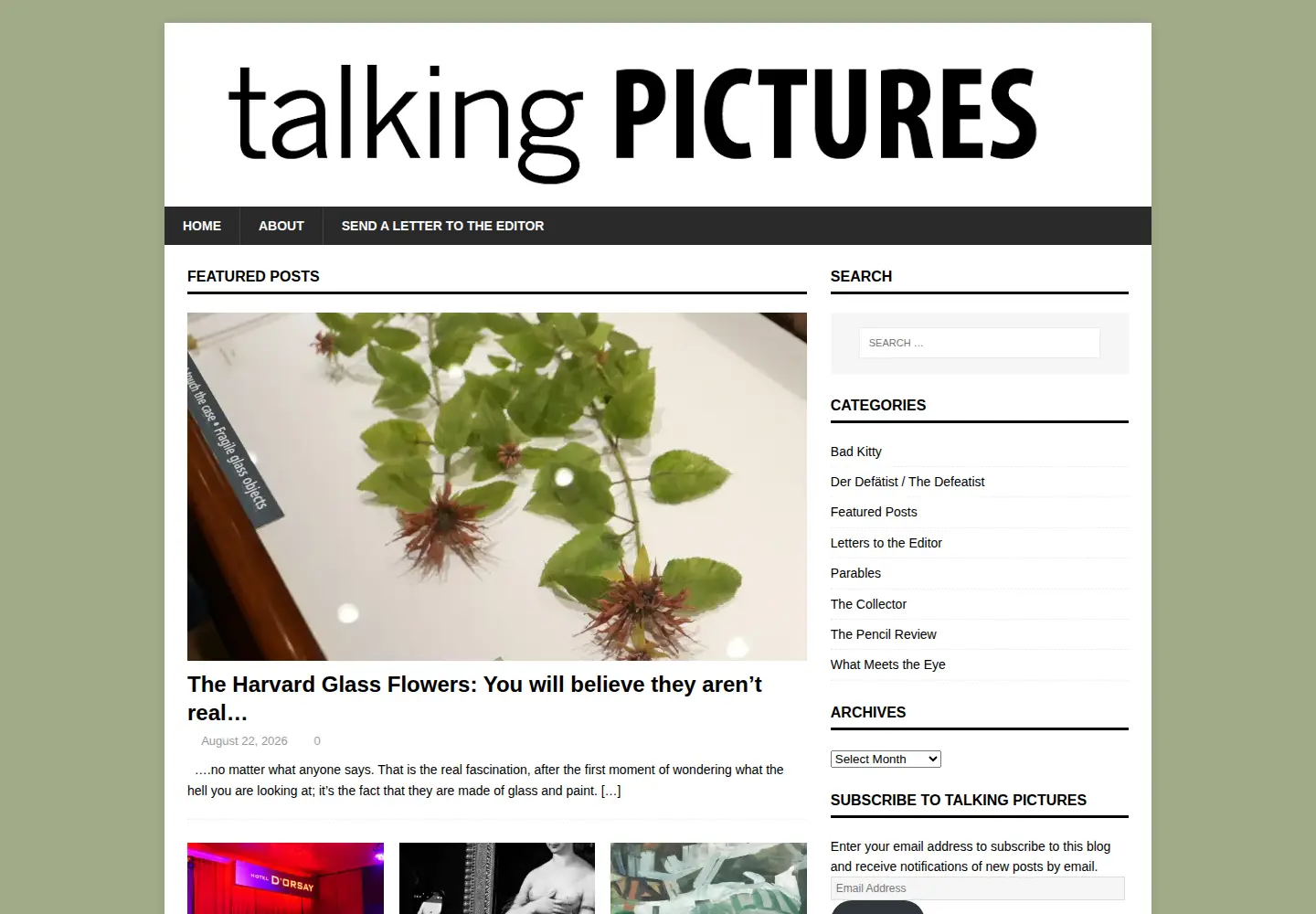Screenshot of talkingpicturesblog.com