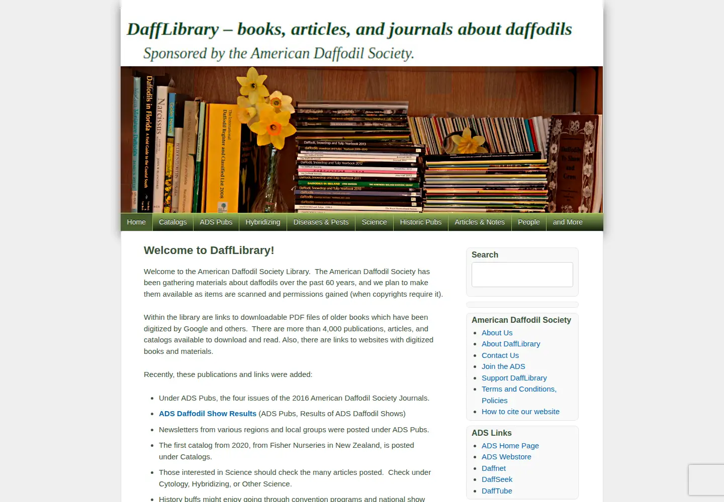 Captured homepage of dafflibrary.org in the current scan