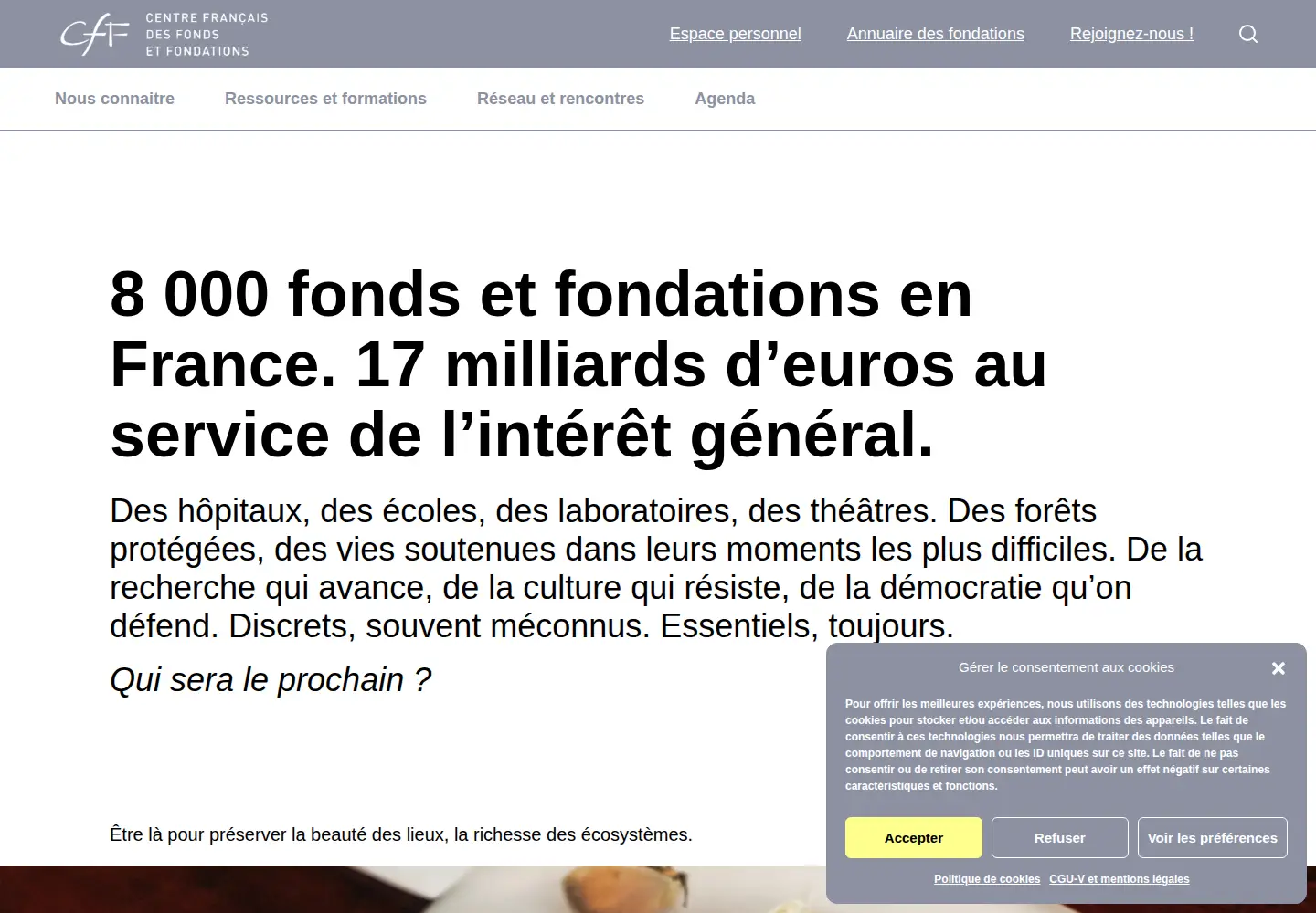 Screenshot of centre-francais-fondations.org