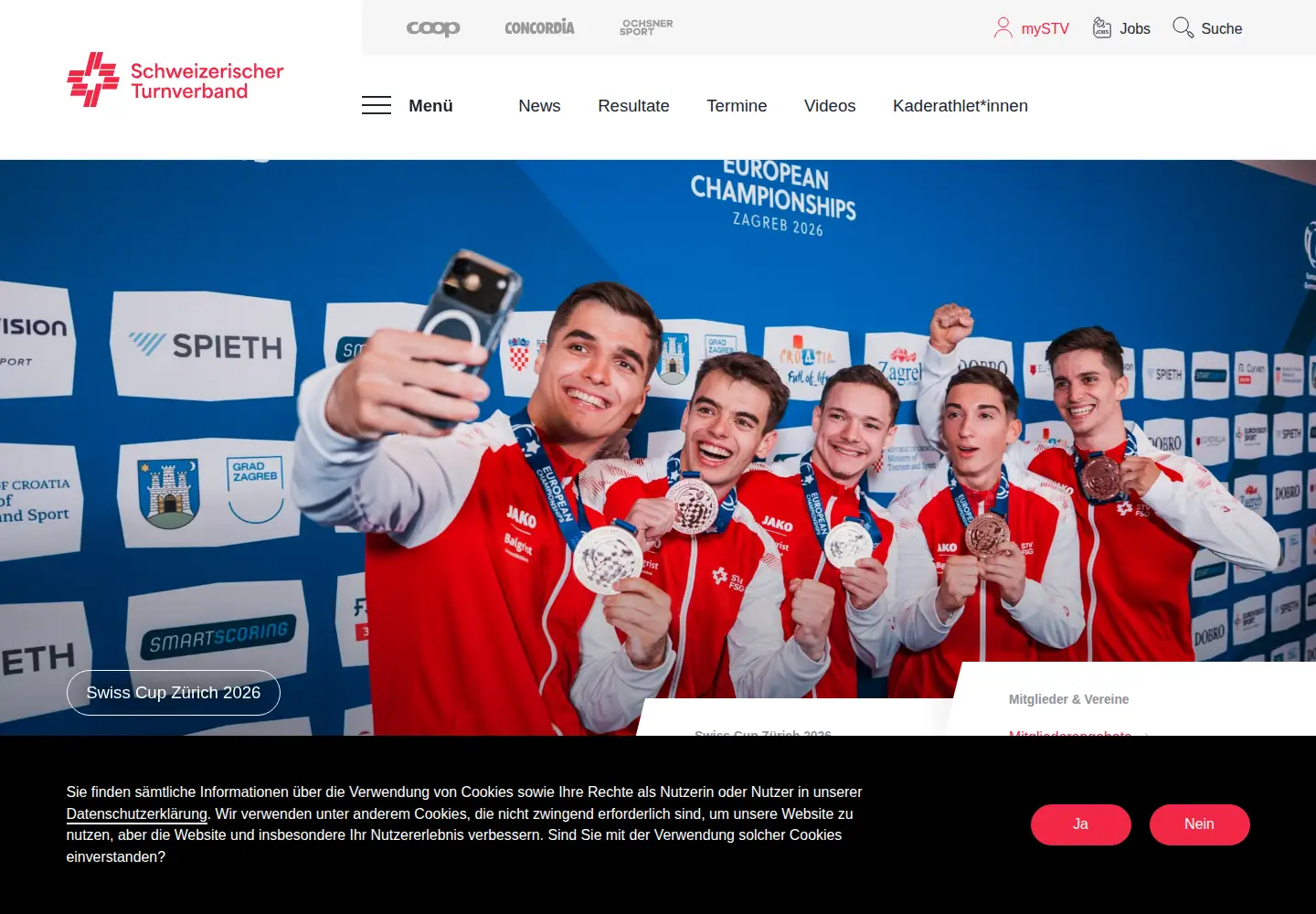 Screenshot of stv-fsg.ch