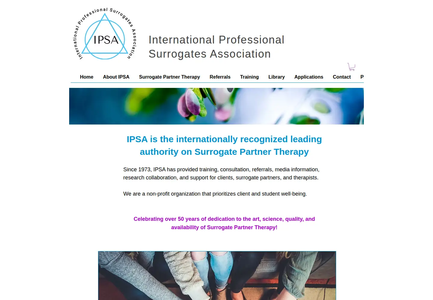 Captured homepage of surrogatetherapy.org in the current scan