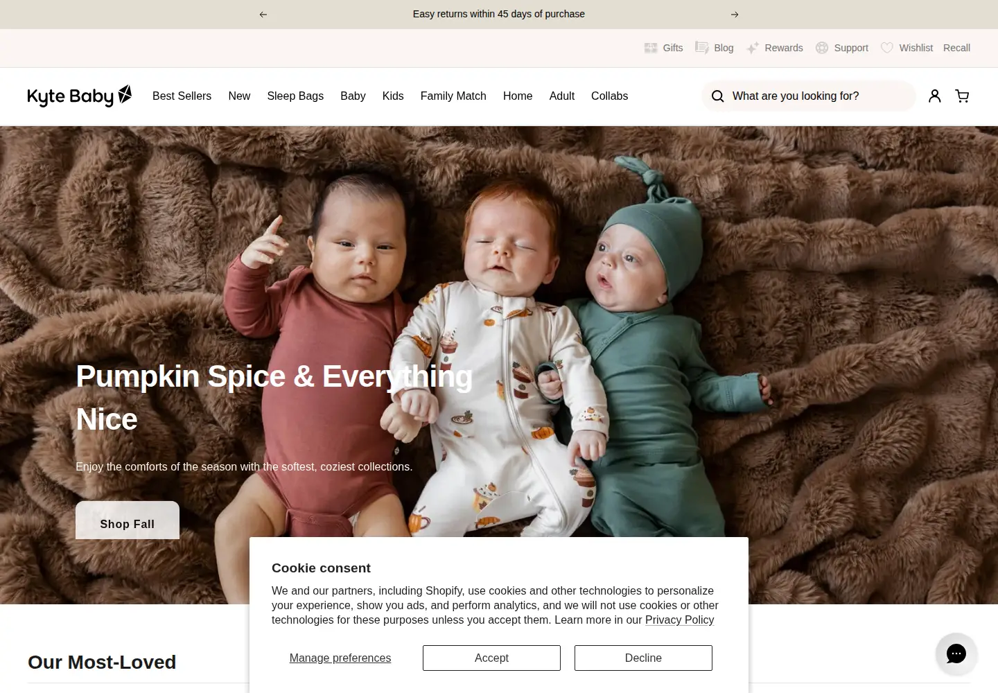 Screenshot of kytebaby.com