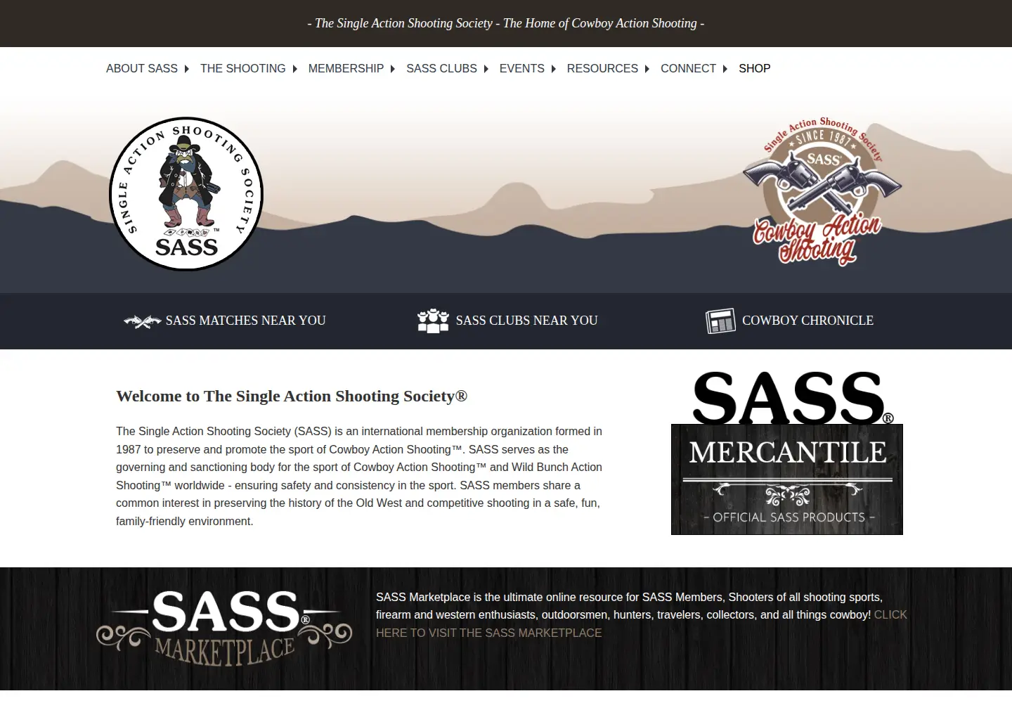 Screenshot of sassnet.com