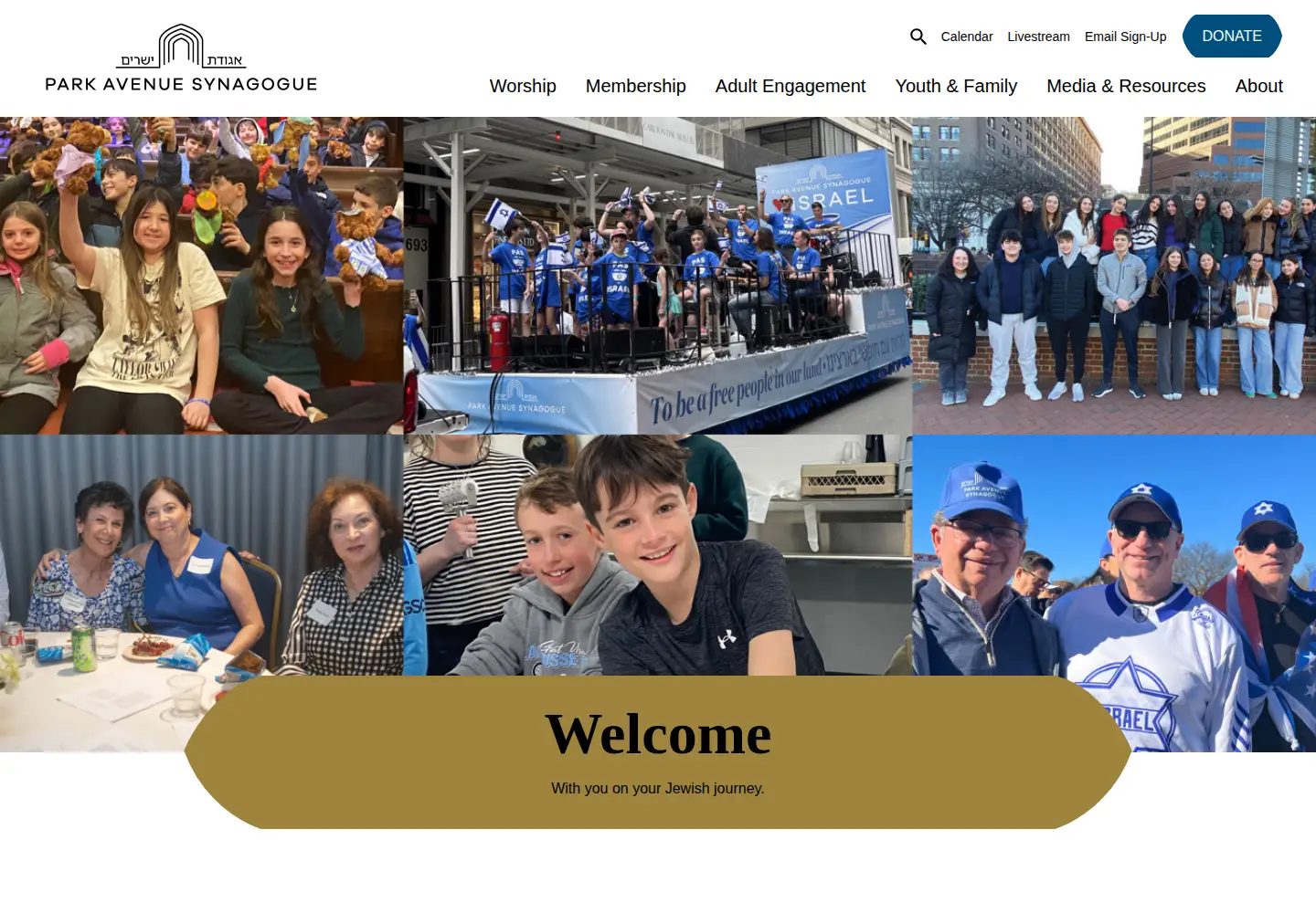 Screenshot of pasyn.org