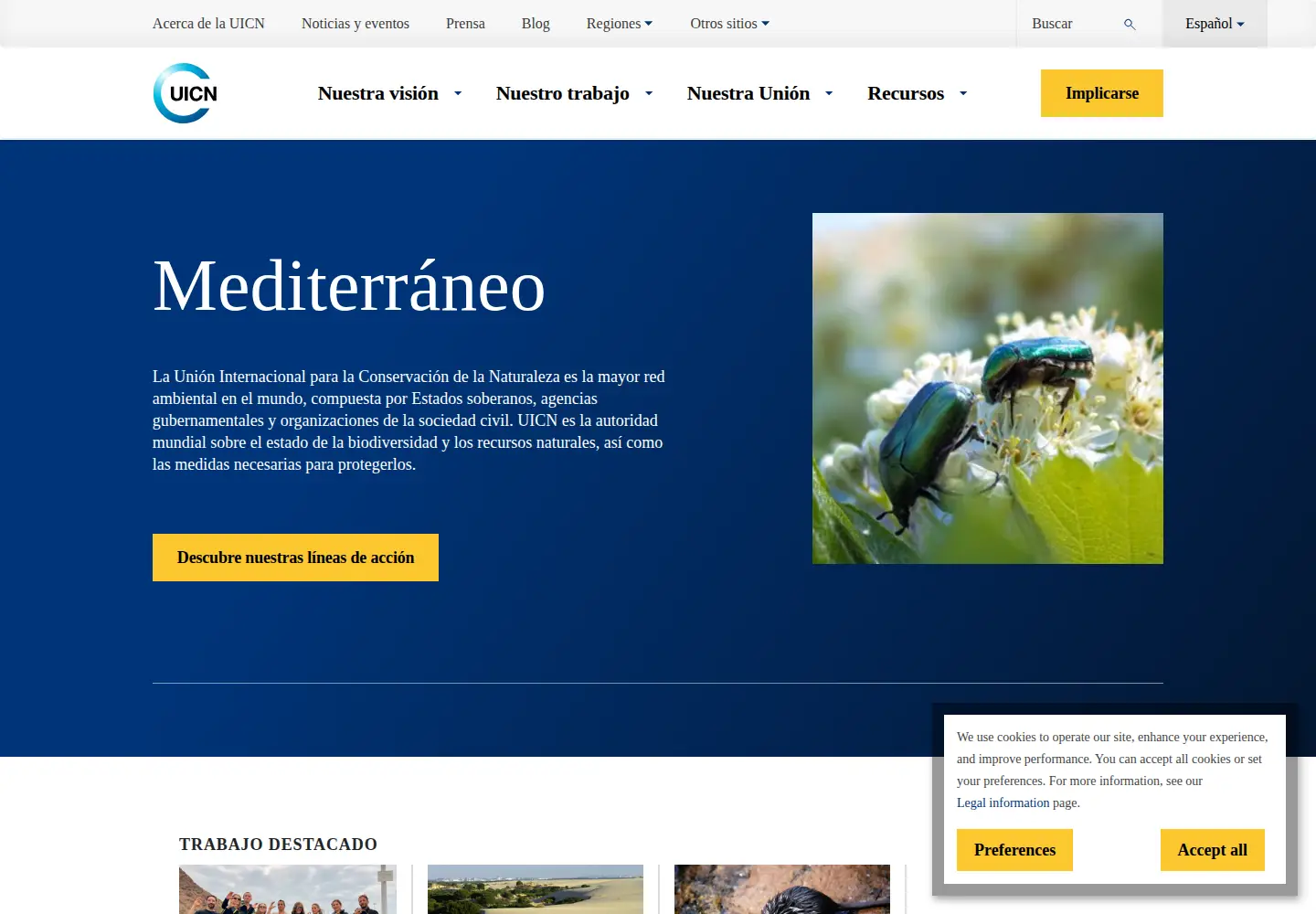 Captured homepage of uicnmed.org in the current scan