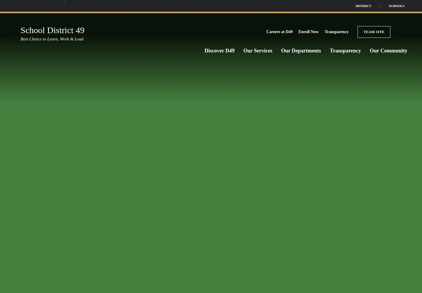 Screenshot of d49.org