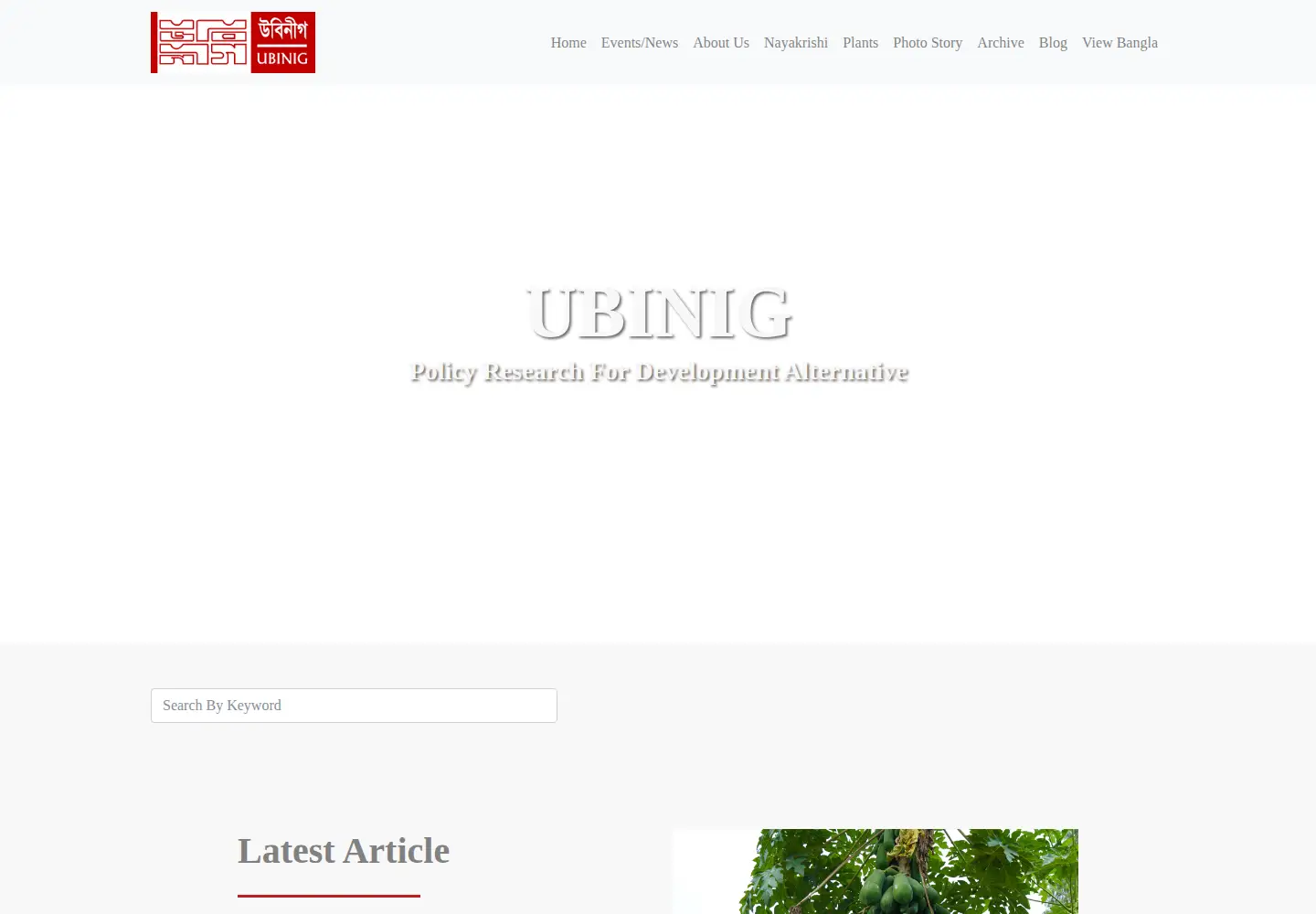 Screenshot of ubinig.org