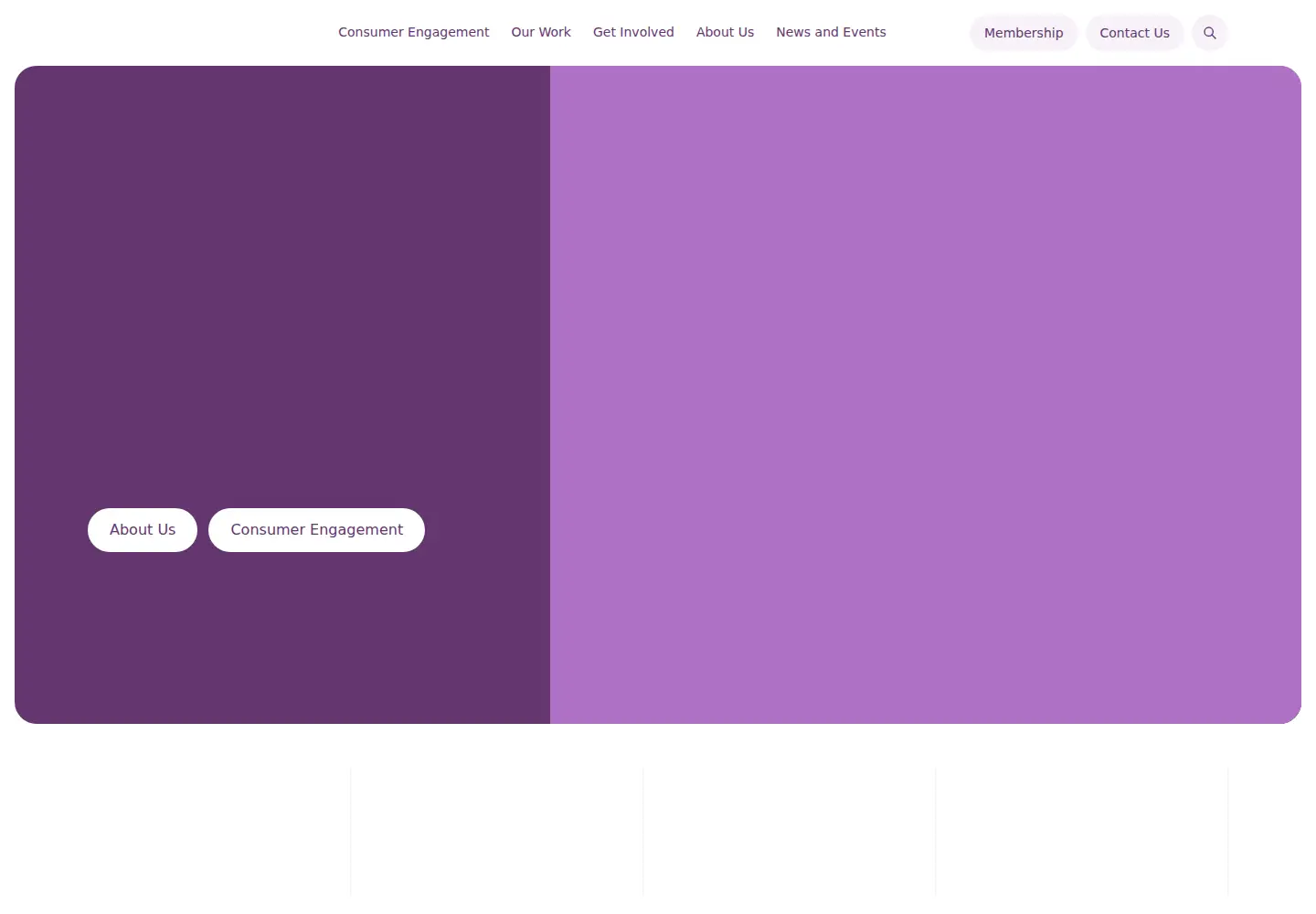 Captured homepage of chf.org.au in the current scan