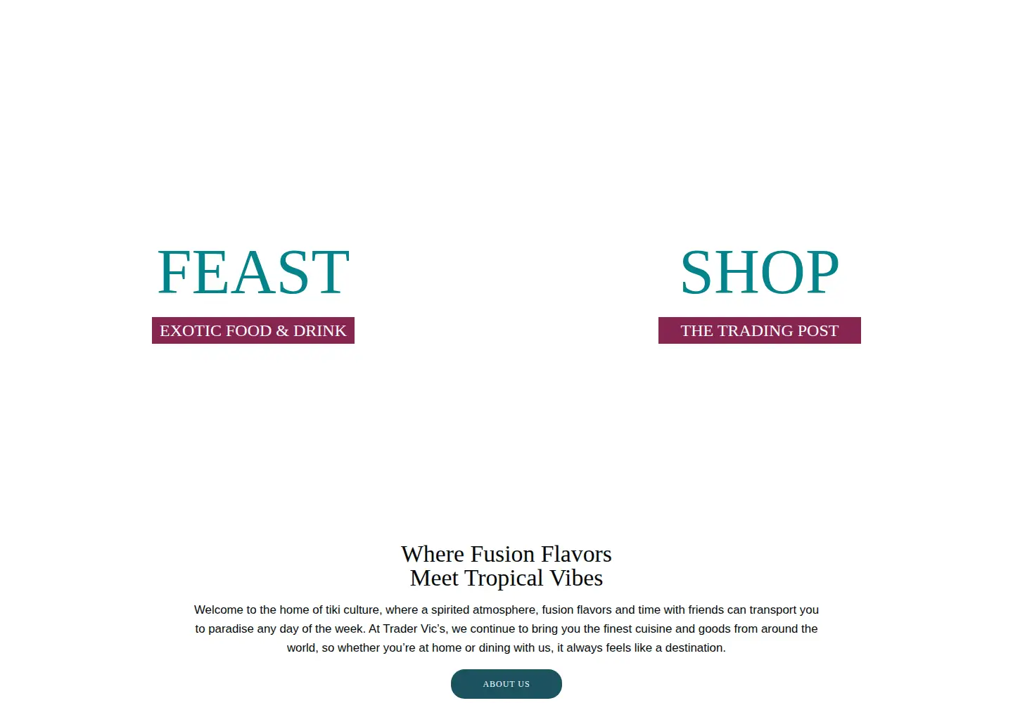 Captured homepage of tradervics.com in the current scan
