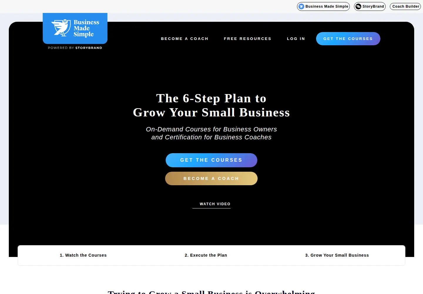 Captured homepage of businessmadesimple.com in the current scan