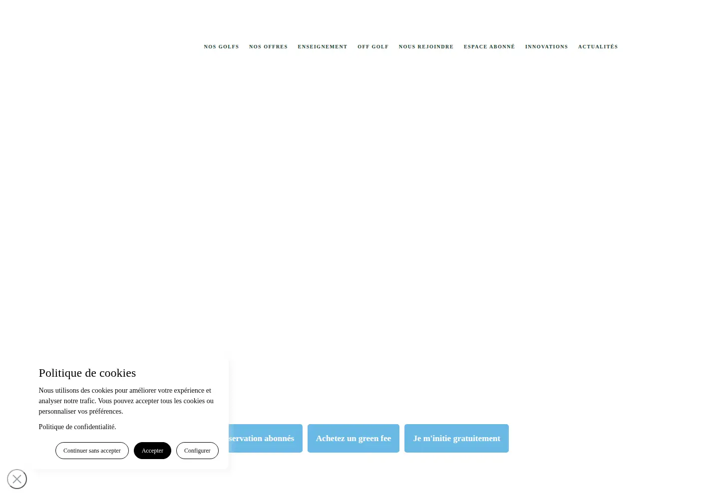 Captured homepage of bluegreen.com in the current scan