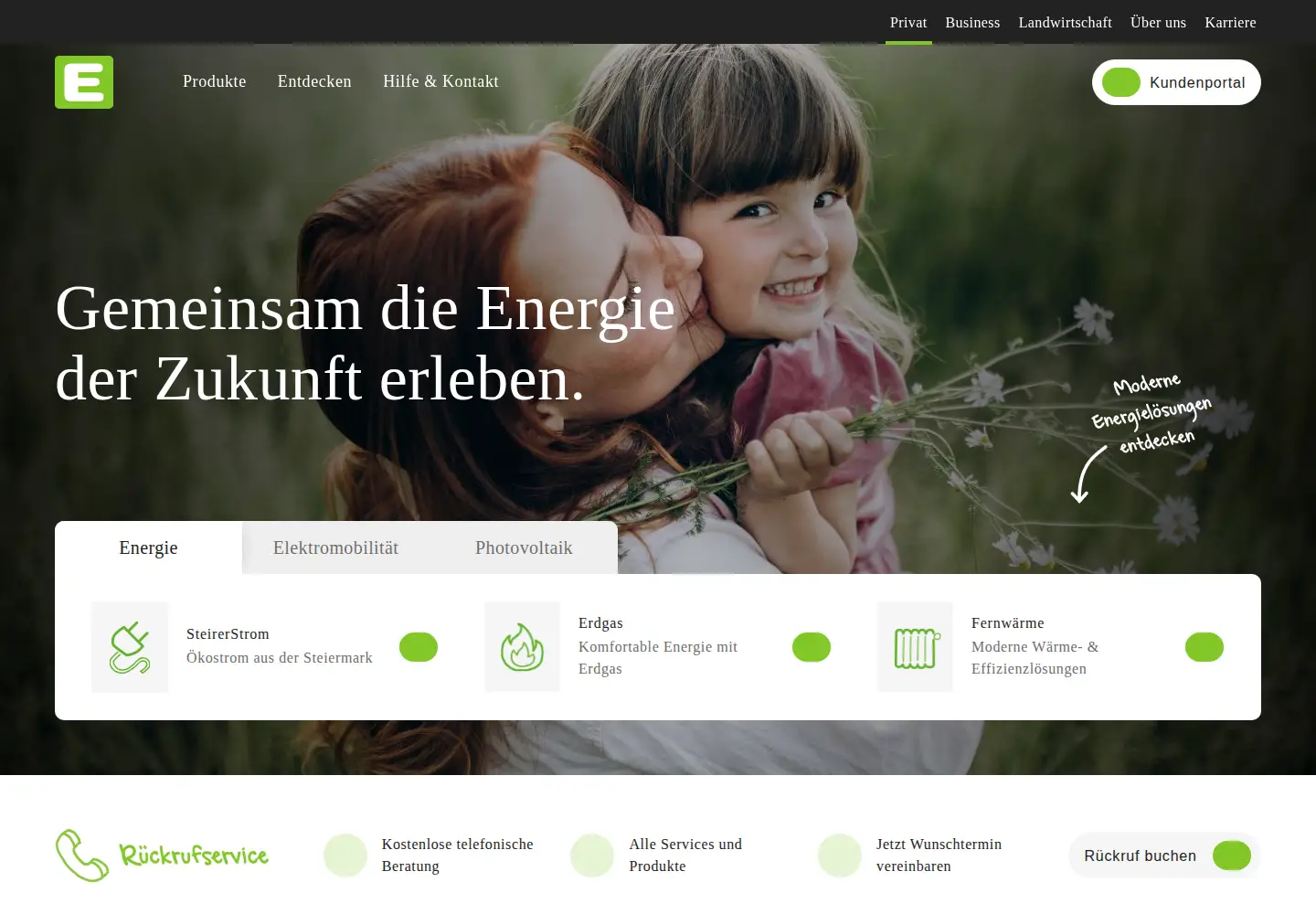 Screenshot of e-steiermark.com