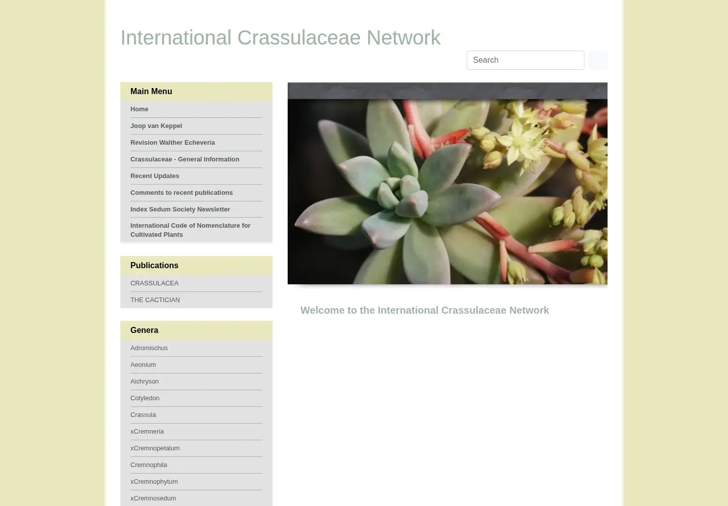 Screenshot of crassulaceae.ch