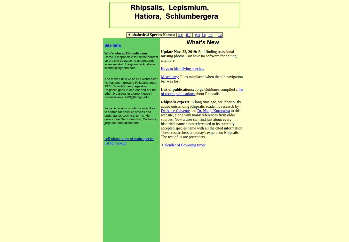 Screenshot of rhipsalis.com
